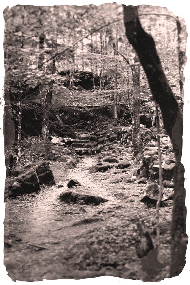 zb-foto-fotokurs-vandyke-petermichels01.jpg