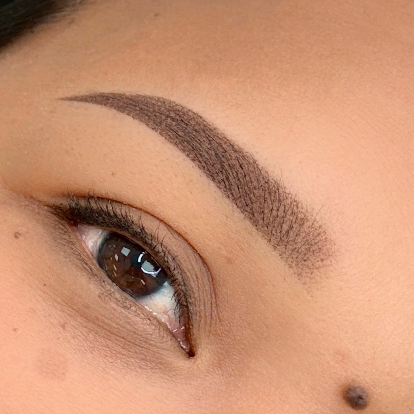 Soft &amp; powdery, yet defined! ✨

For my natural girlies who don&rsquo;t want to their brows to heal too dark!

⟡ 𝐃𝐦 𝐭𝐨 𝐞𝐧𝐫𝐨𝐥𝐥 𝐢𝐧 𝐦𝐲 𝐭𝐫𝐚𝐢𝐧𝐢𝐧𝐠𝐬
$500 non refundable deposit is required to hold your spot

𝐓𝐫𝐚𝐢𝐧𝐢𝐧𝐠𝐬 𝐀𝐯
