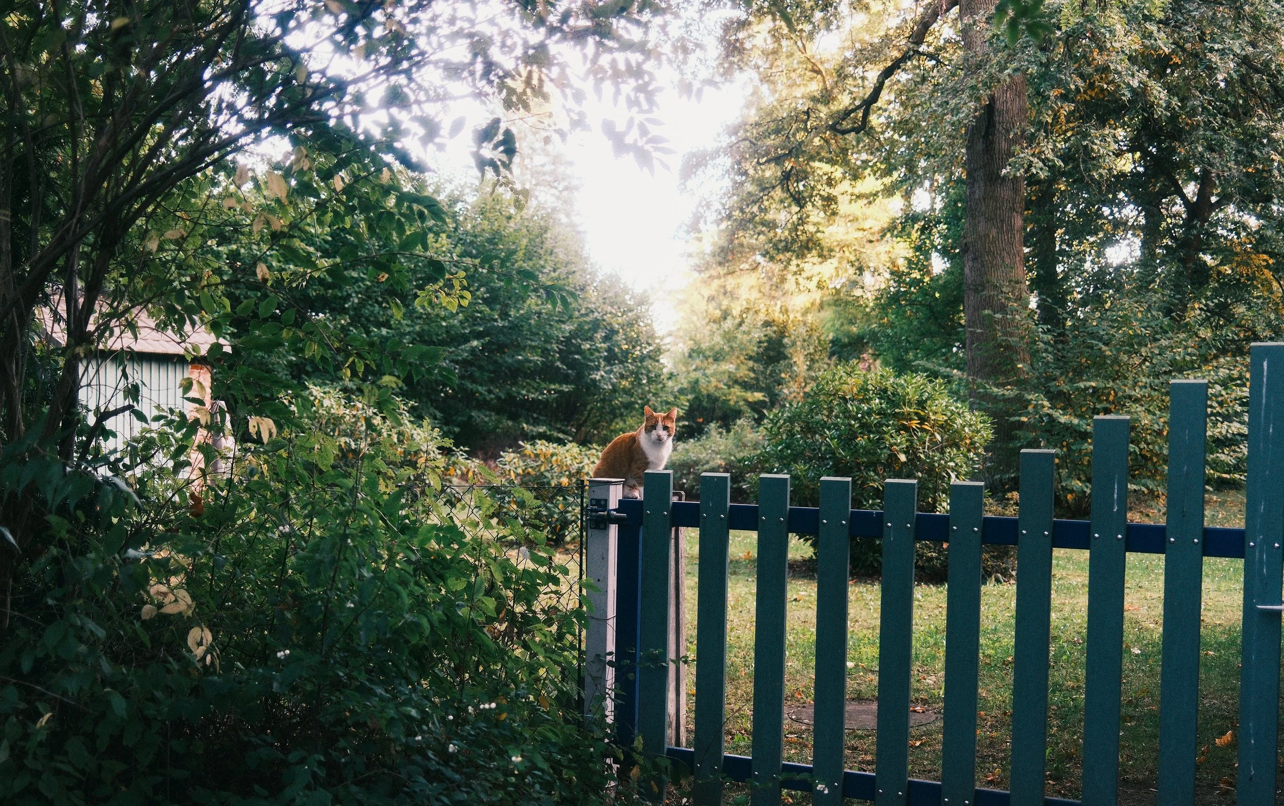 DSCF1852.JPG