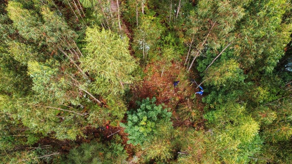 Castro de Esmelle: día 0