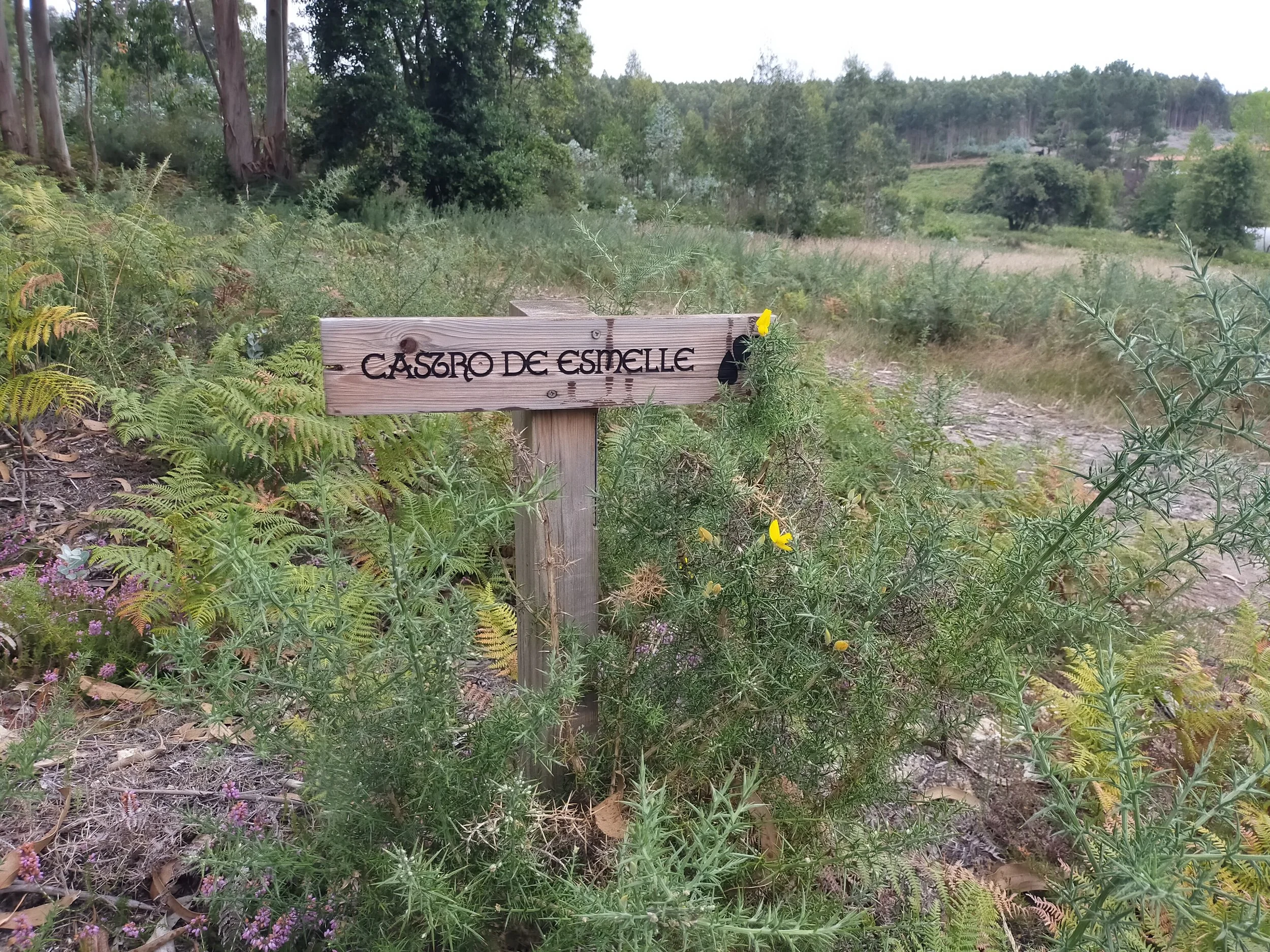 Castro de Esmelle: día 4