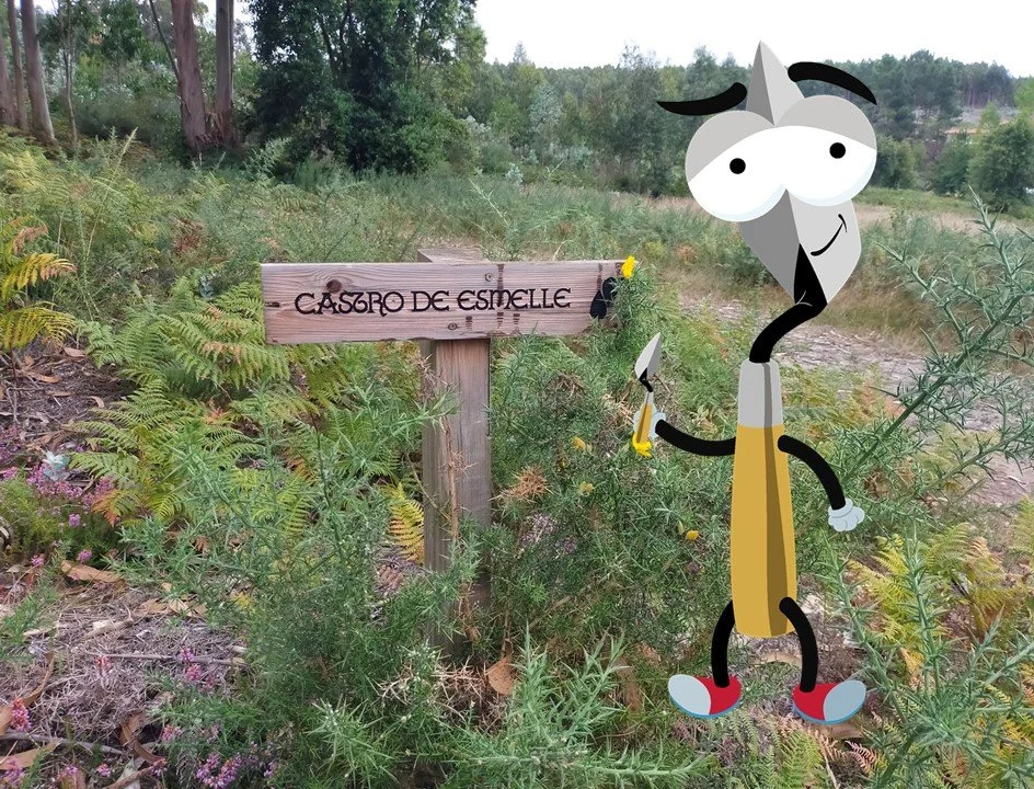 Volve o arqueódromo!