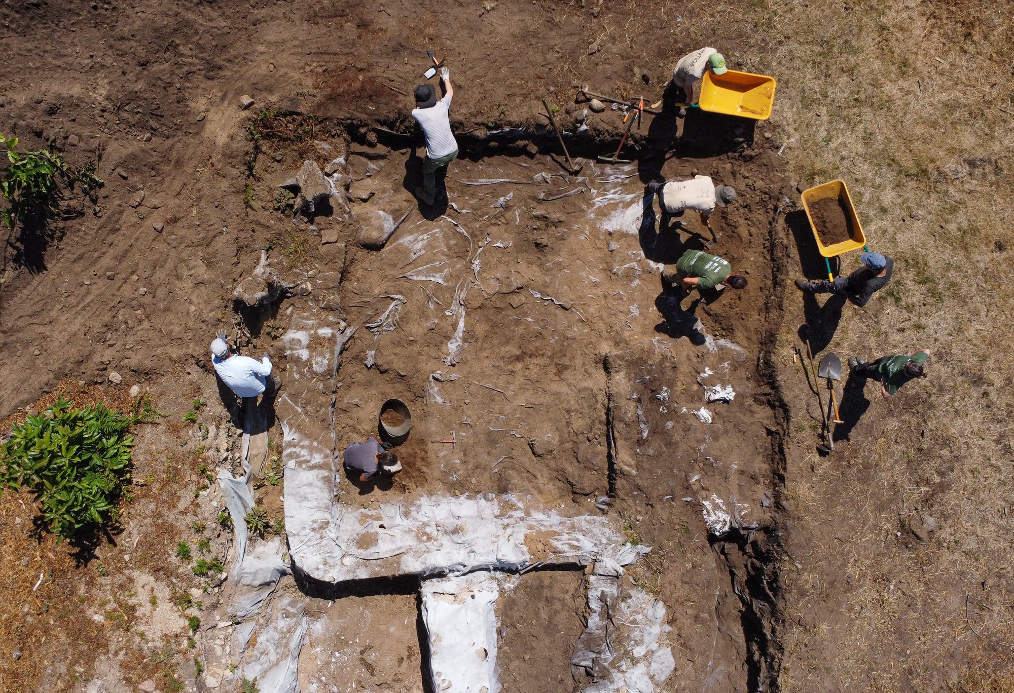 Día 2. Platón y el círculo