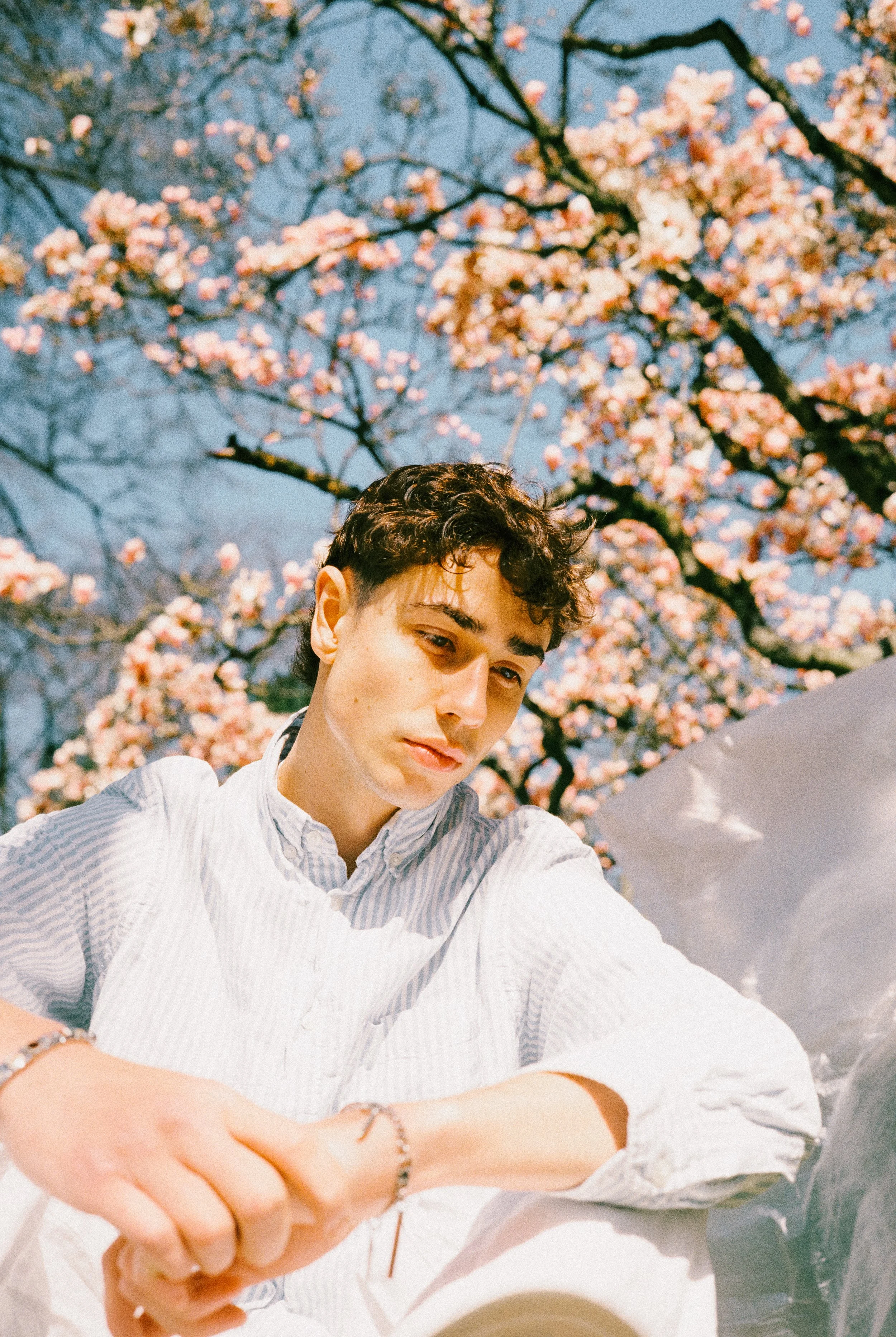 Junge Mann macht ein Selfie vor blühenden Kirschbäumen an einem sonnigen Tag.