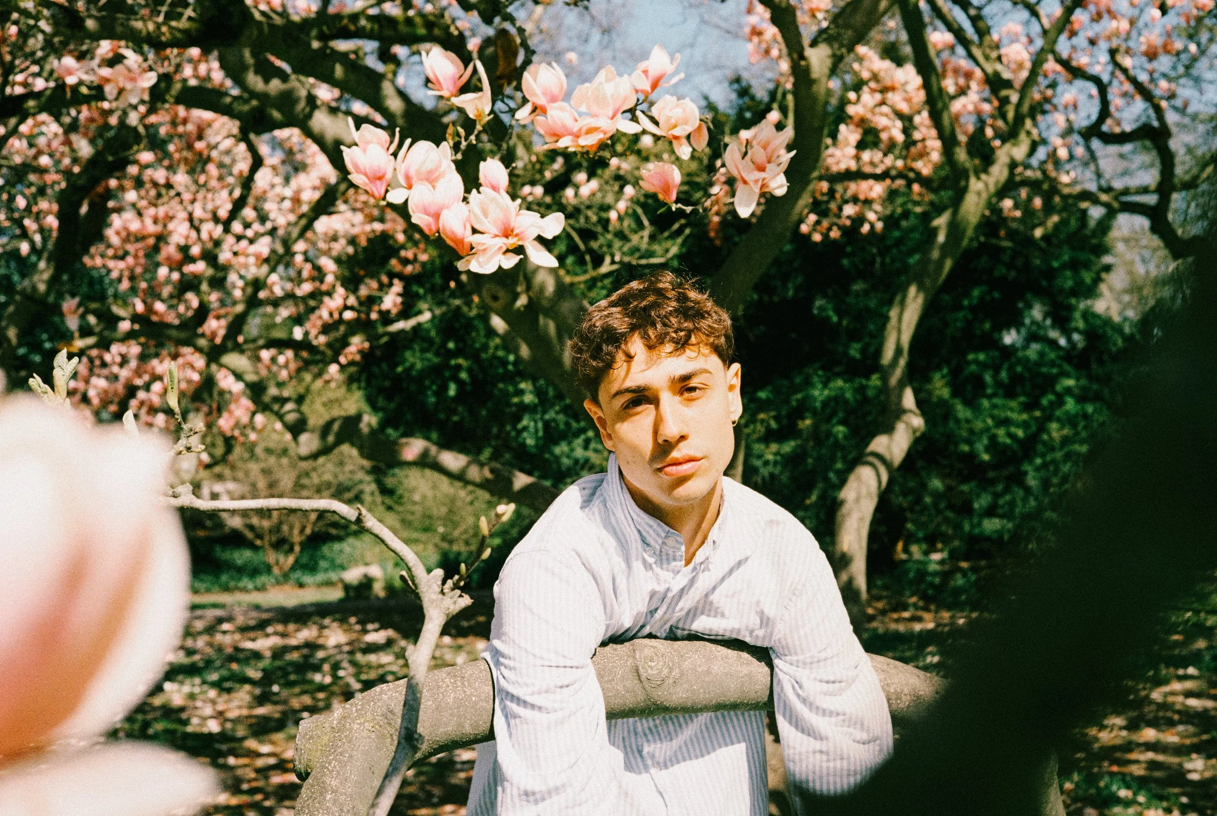 Ein junger Mann sitzt auf einer Steinbank in einem Park mit blühenden Magnolienbäumen im Hintergrund, sonniger Tag.