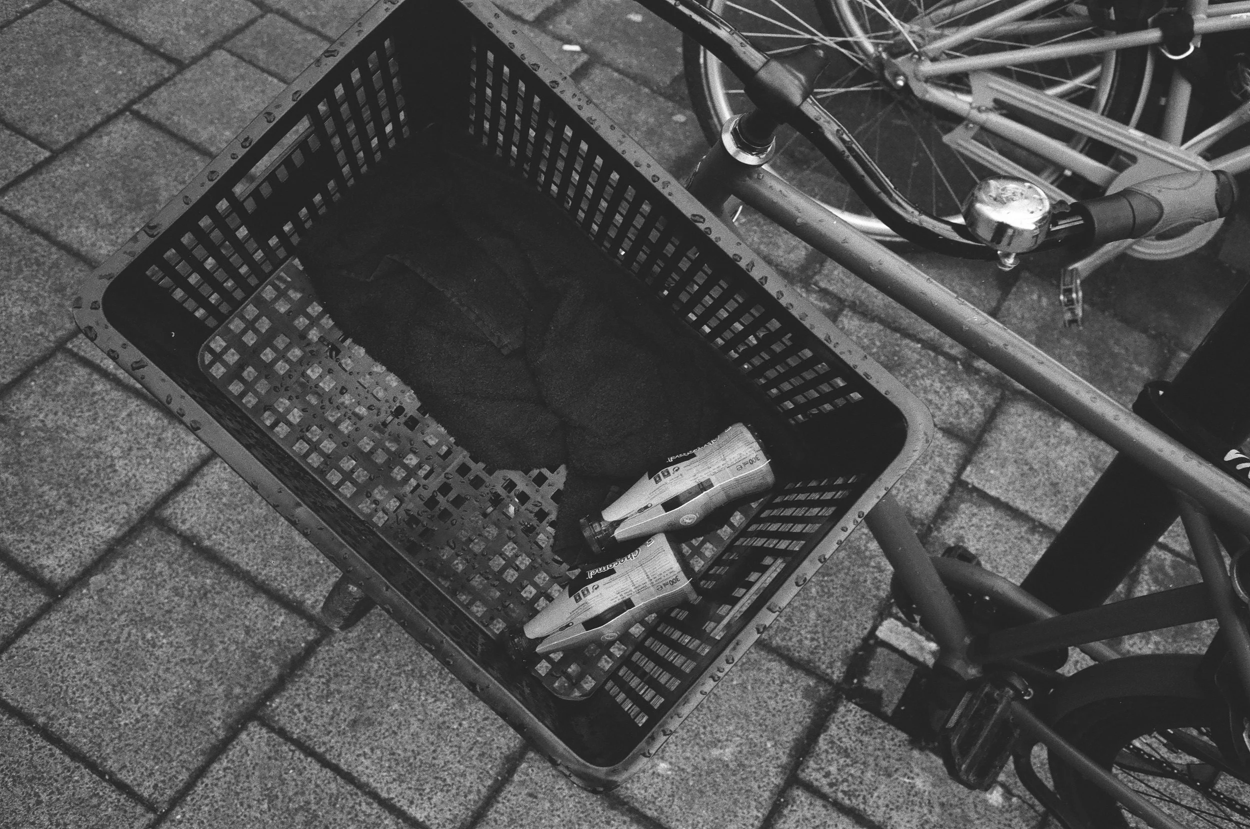 LucasKehus-20250913-0006, FILM-Roll#161.jpg