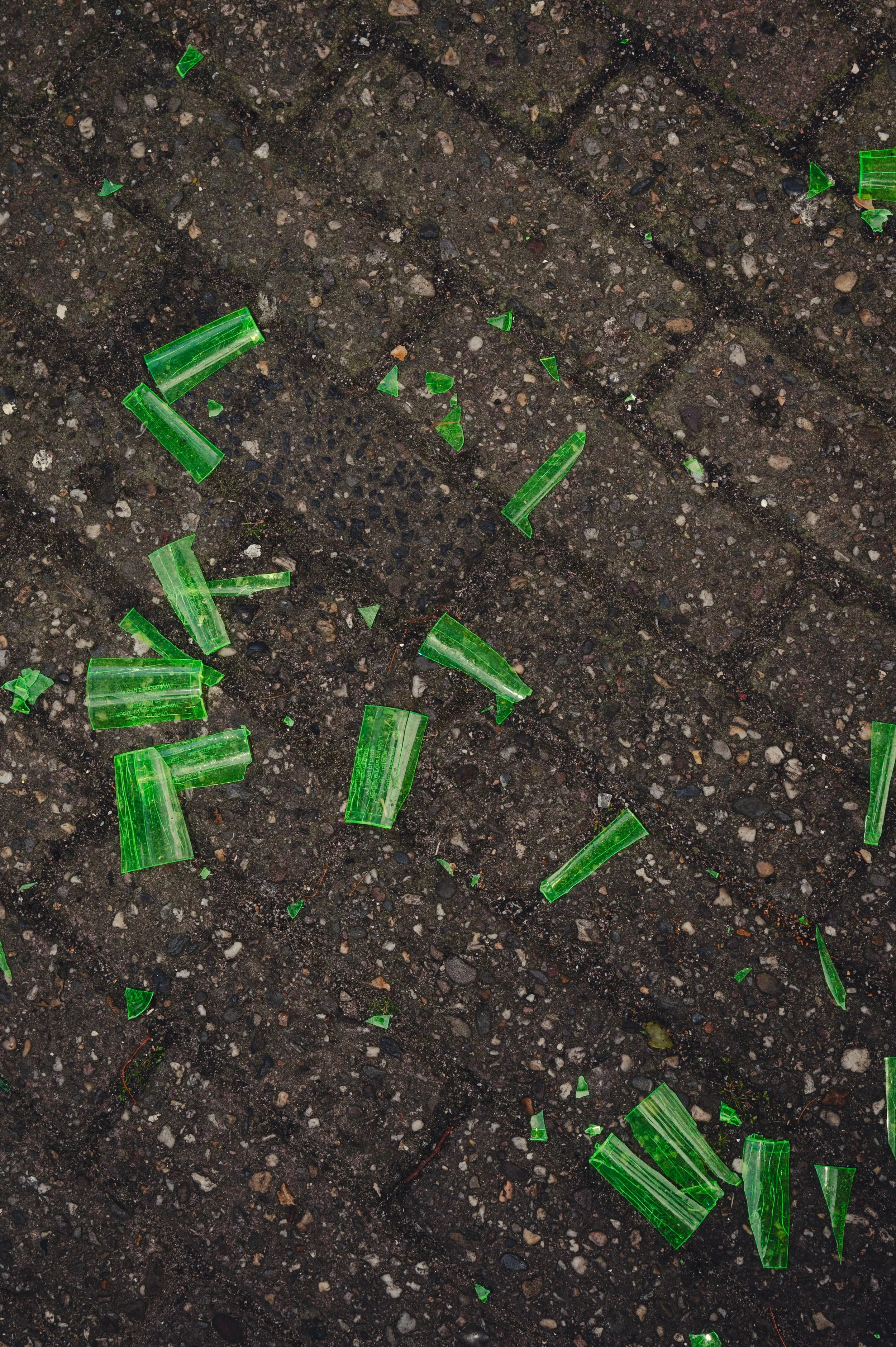 LucasKehus-PlasticWaste20260427-0035.jpg