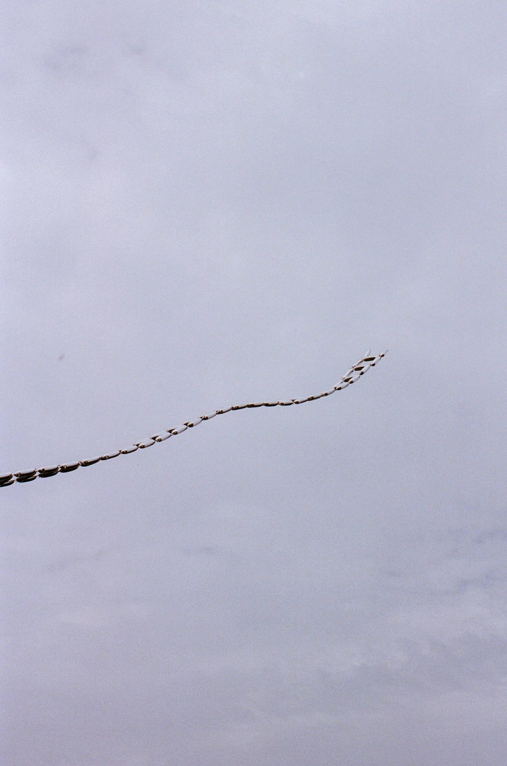 LucasKehus-20250728-0400, FILM-Roll#142.jpg