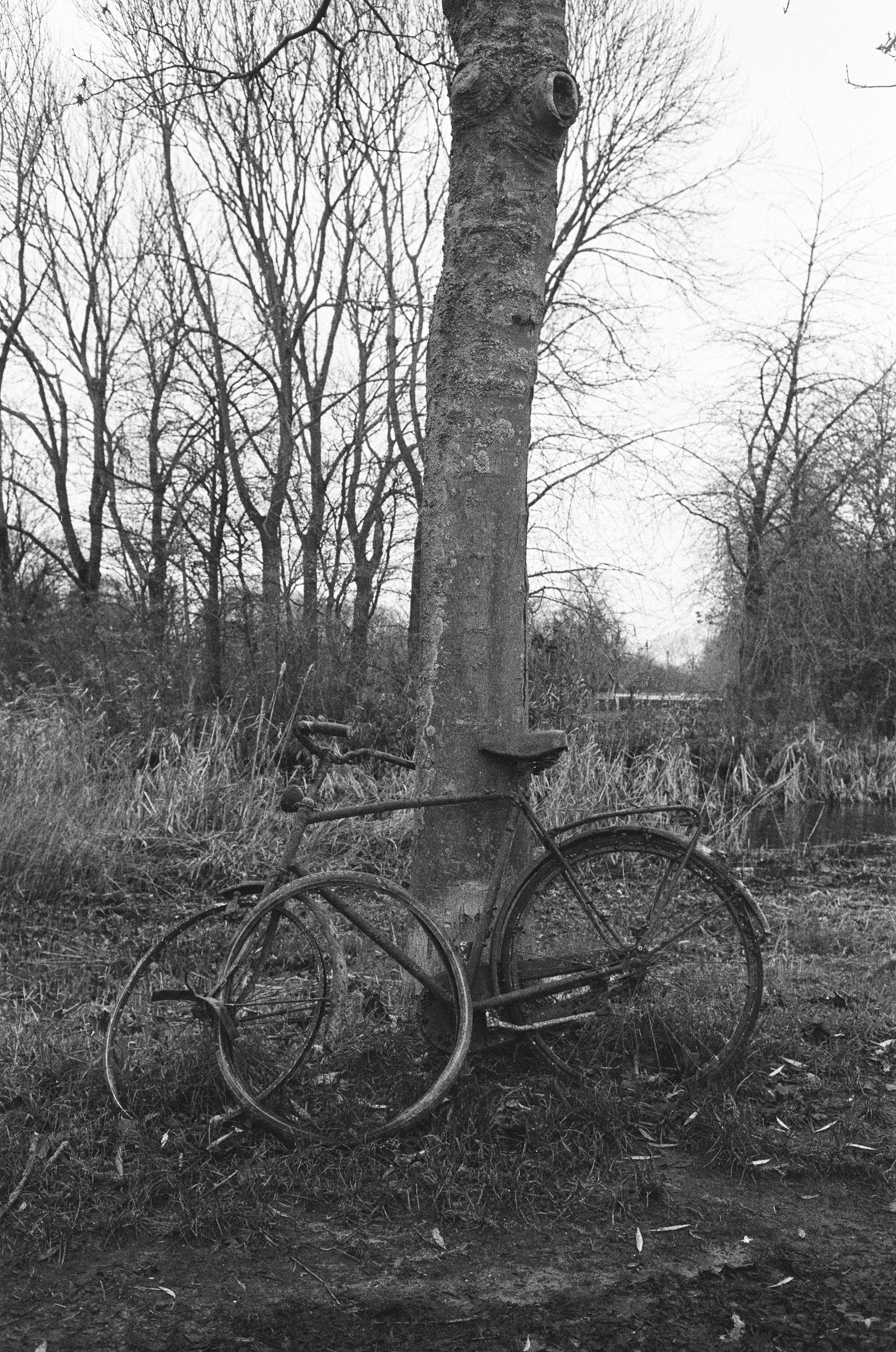 LucasKehus-20250421-0025, FILM-Roll#128.jpg