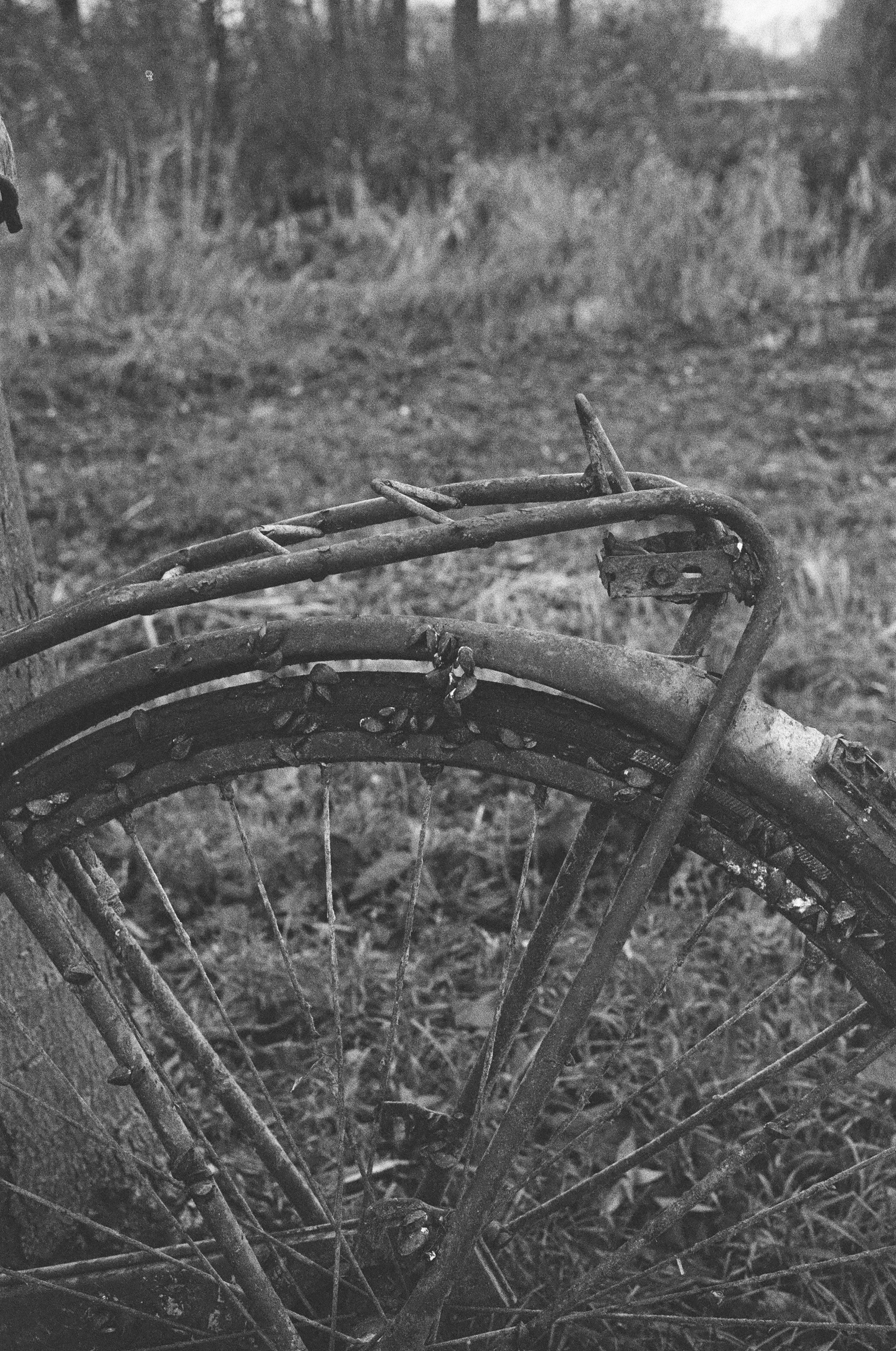 LucasKehus-20250421-0026, FILM-Roll#128.jpg