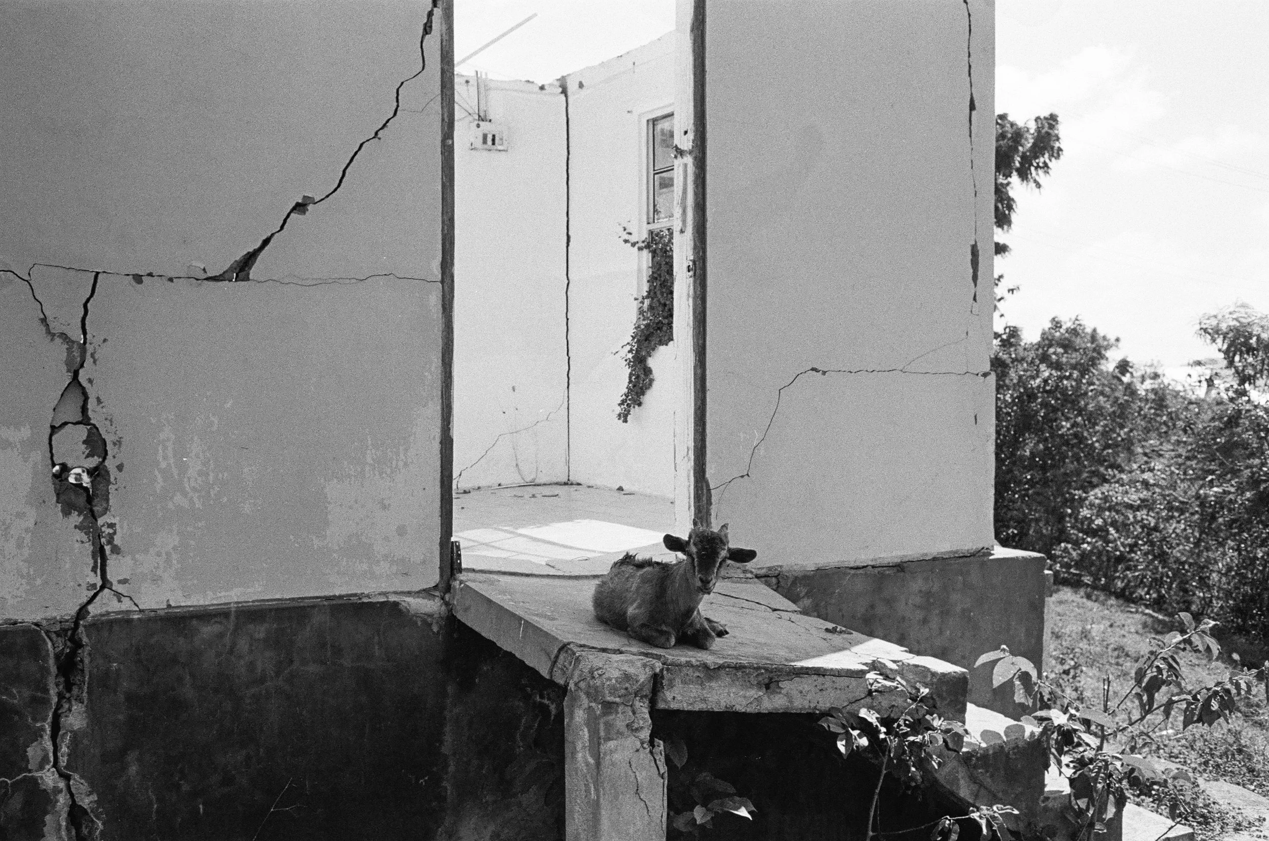 LucasKehus-20251211-0017, FILM-Roll#185.jpg