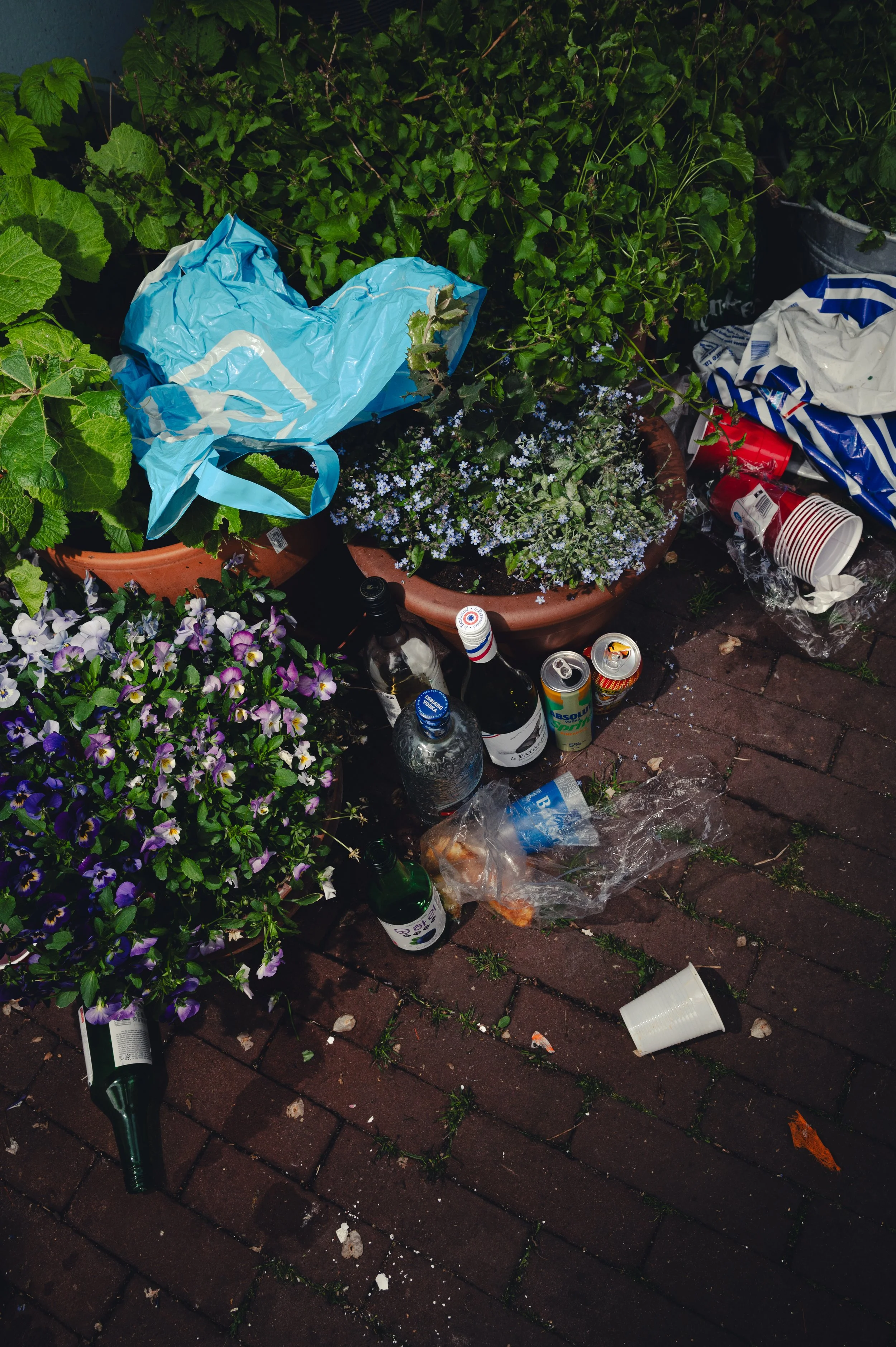 LucasKehus-PlasticWaste20260427-0067.jpg
