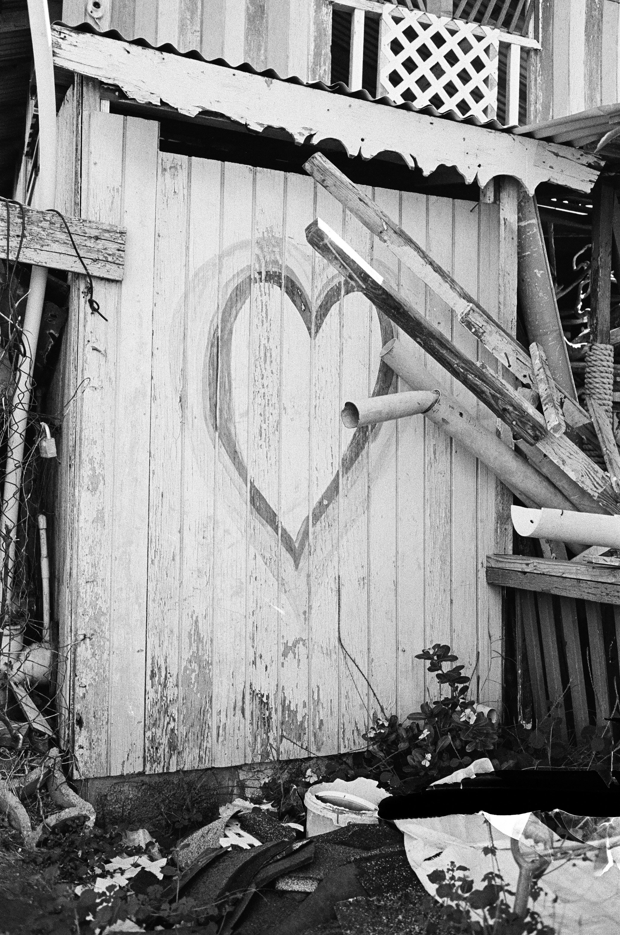 LucasKehus-20251210-0020, FILM-Roll#182.jpg