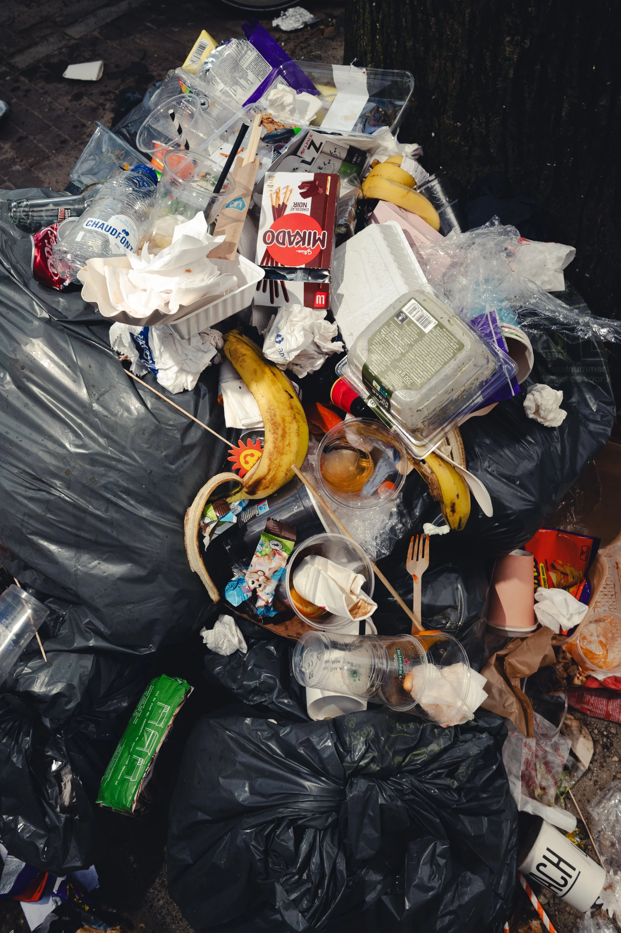 LucasKehus-PlasticWaste20260427-0038.jpg