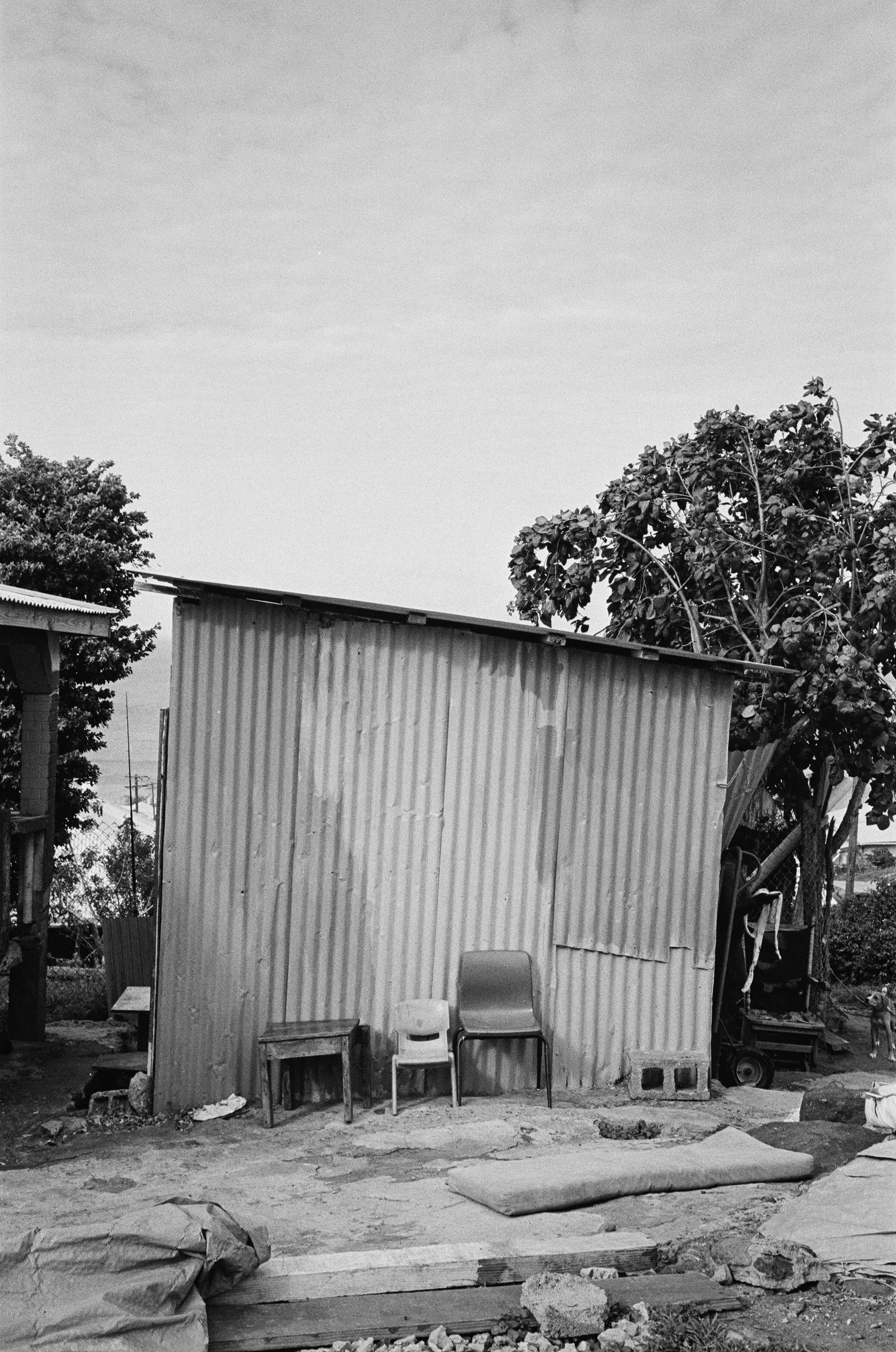 LucasKehus-20251210-0024, FILM-Roll#177.jpg