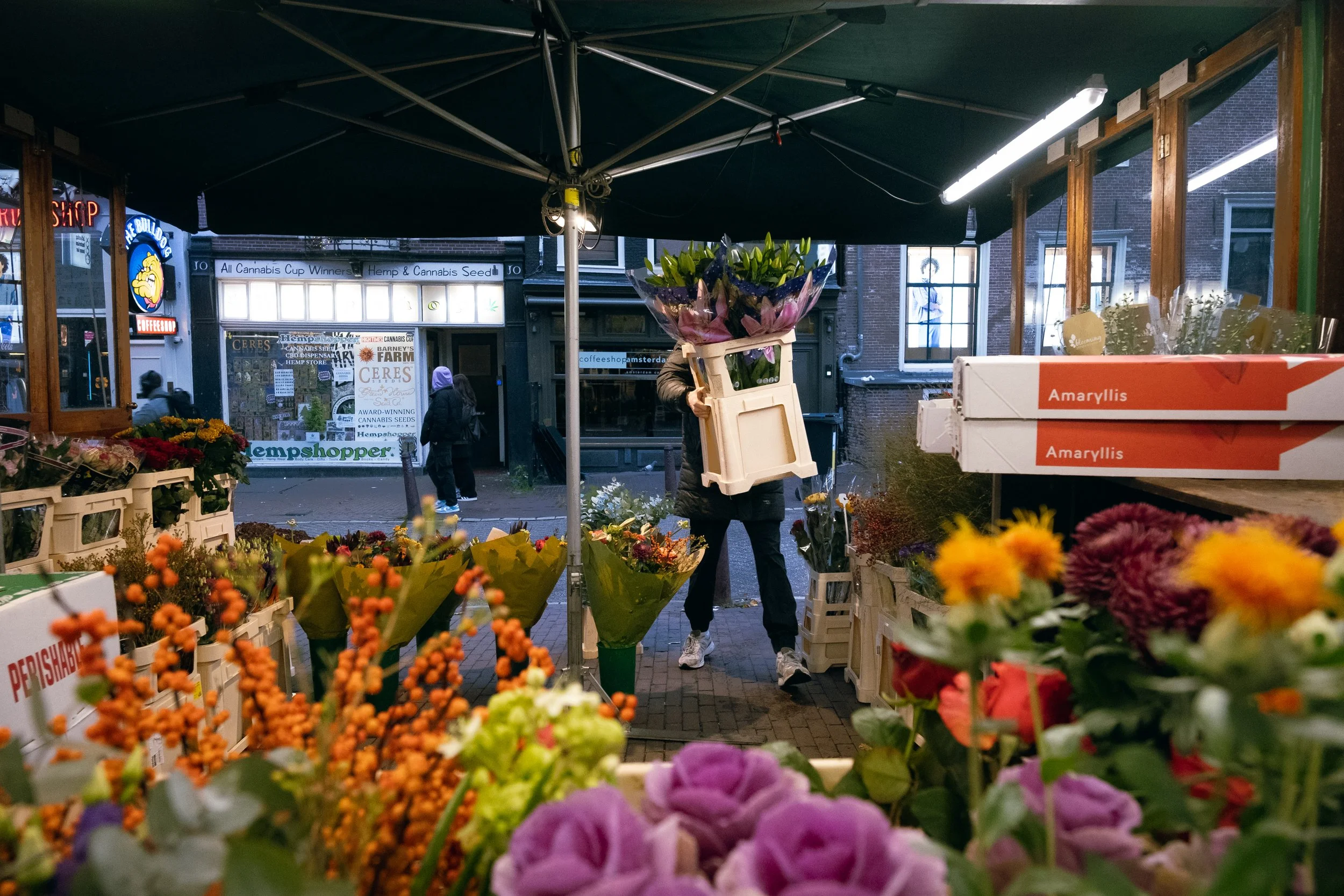 LucasKehus-20241115-0106.jpg