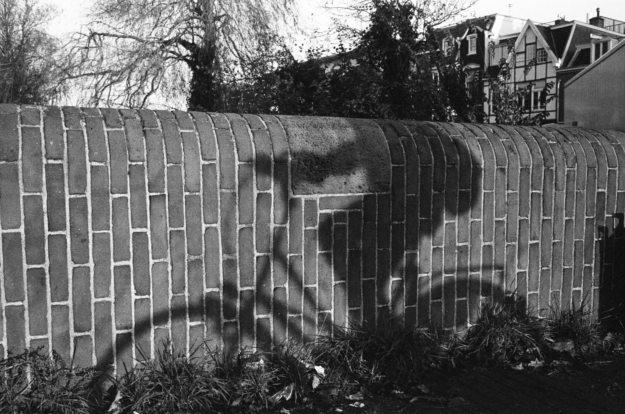 LucasKehus-20250421-0012, FILM-Roll#128.jpg