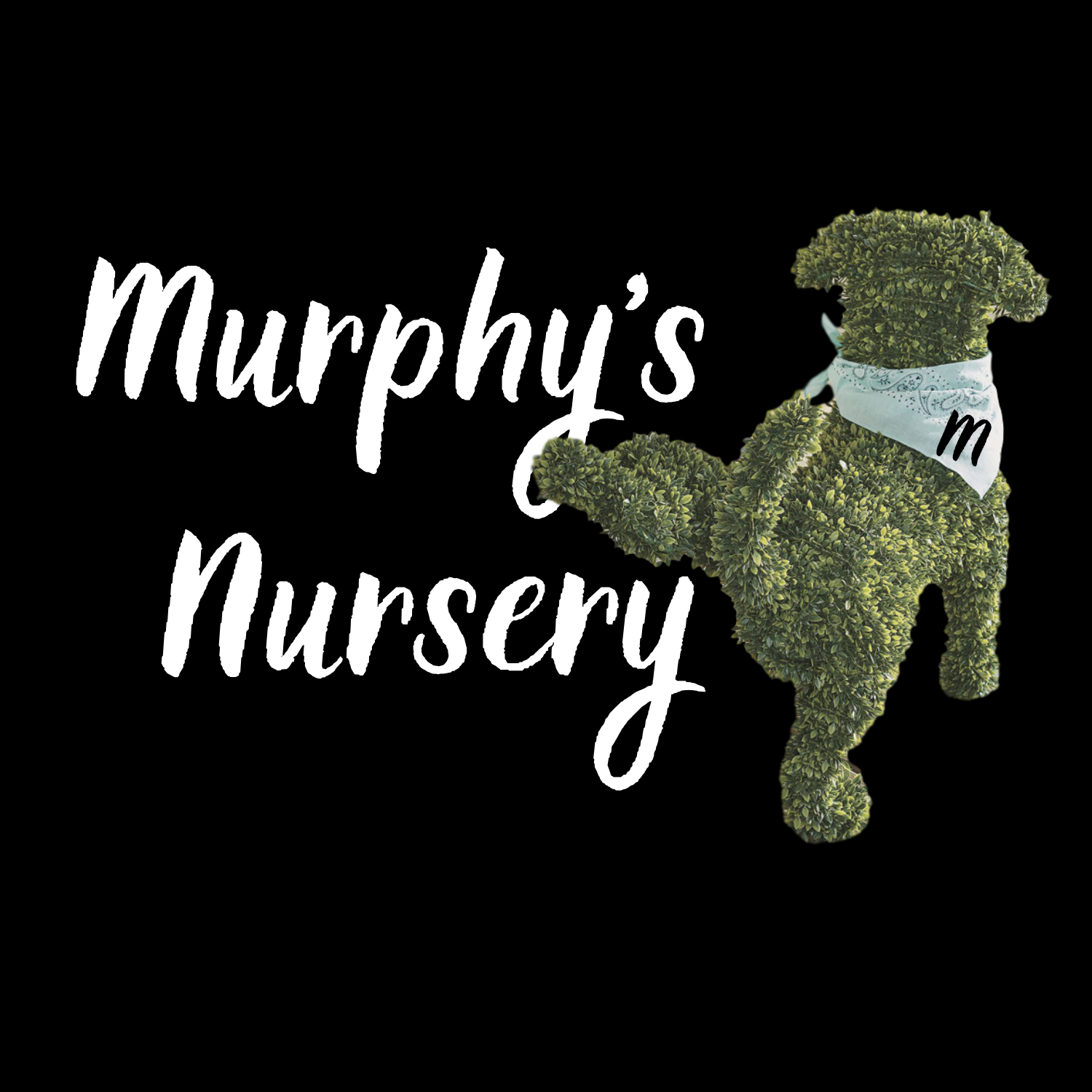 Murphys Logo.png
