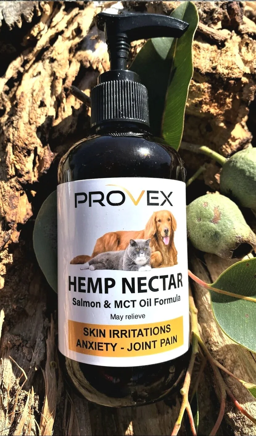 HEMP NECTAR (with salmon & MCT oil)