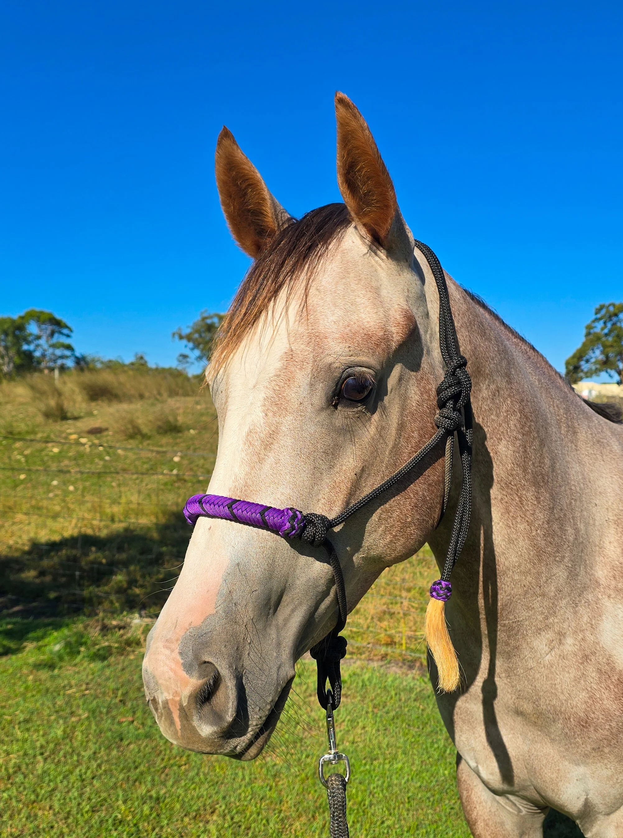 20260305_155205 (1).jpg