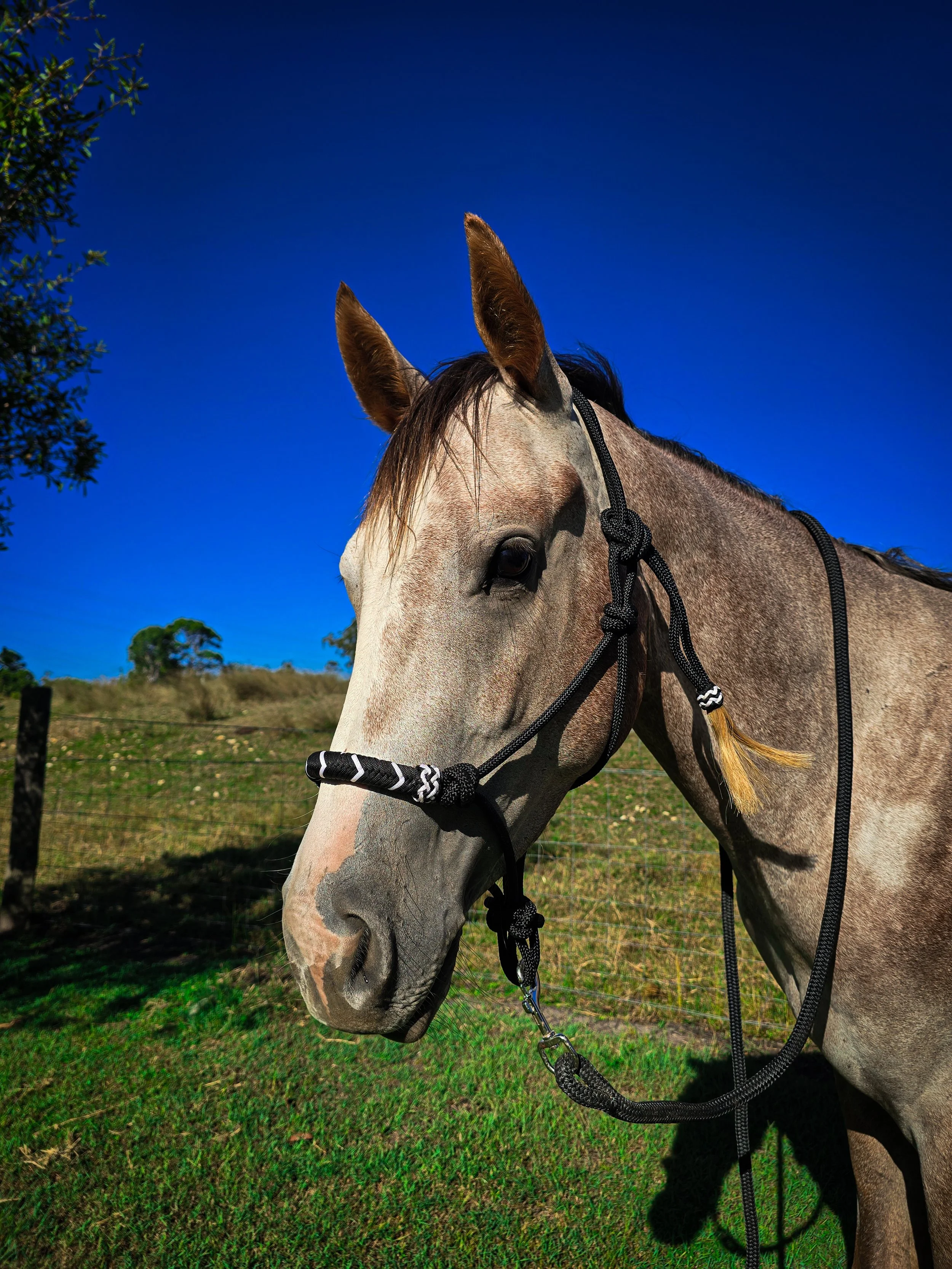 20260305_155549(0) (1).jpg