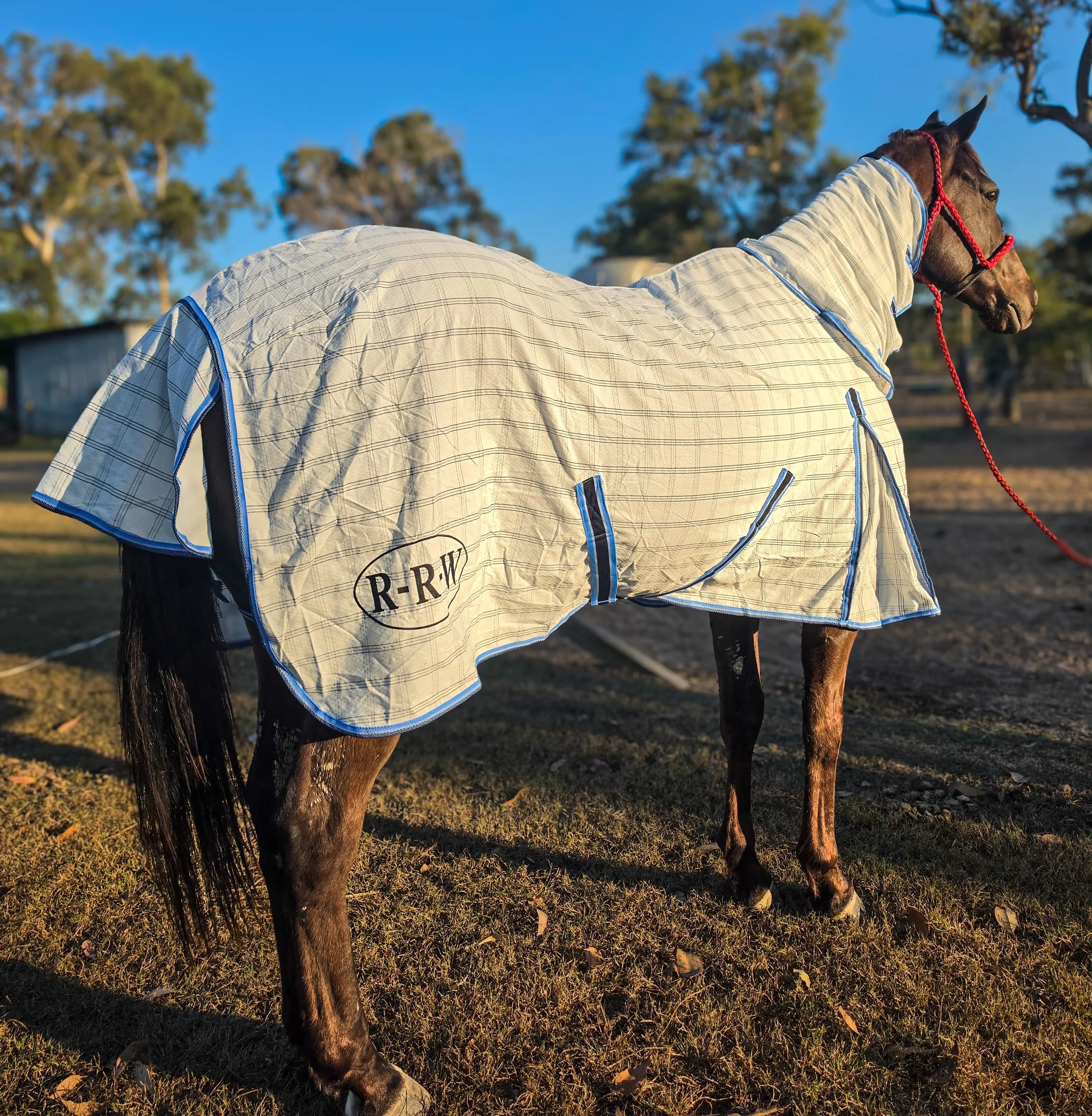 RIPSTOP COMBO RUG