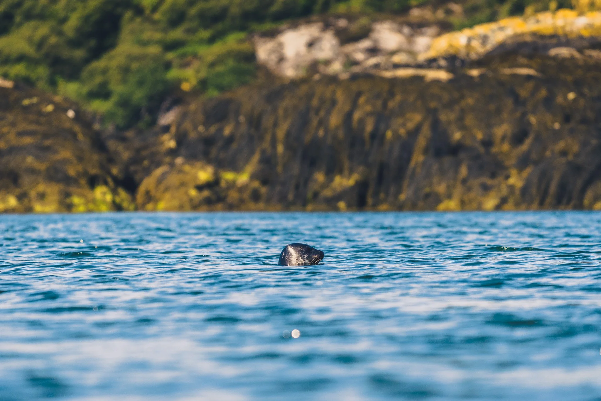 SCOTTISH HIGHLANDS-52.jpg