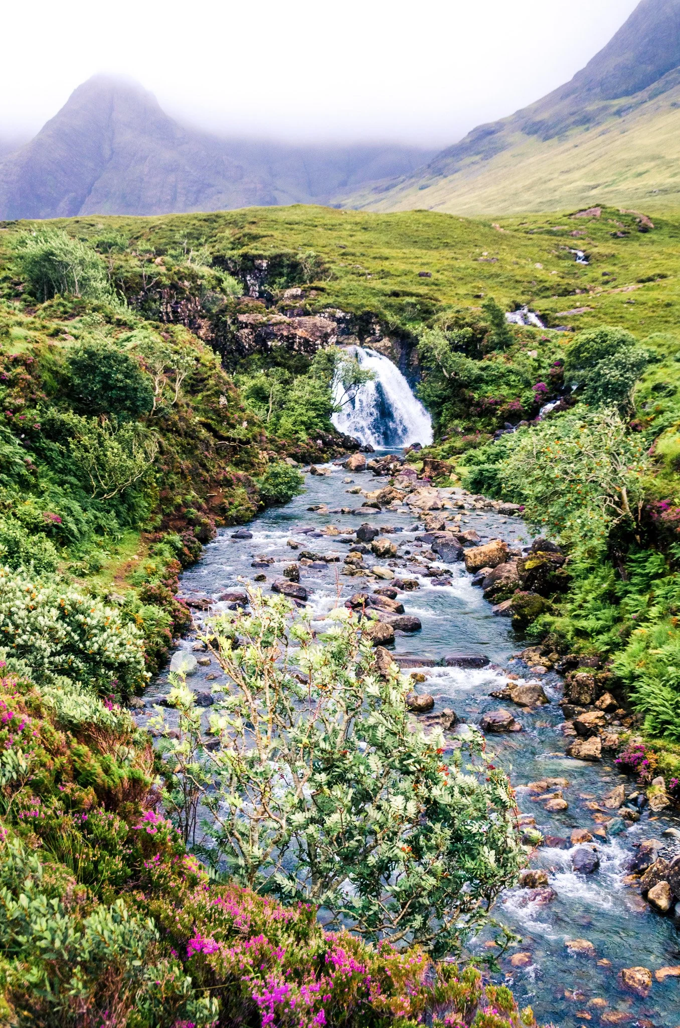 SCOTTISH HIGHLANDS-21.jpg