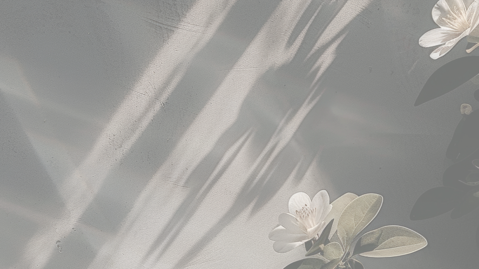 Black and White Modern Elegant Fashion Collection Presentation-2.png