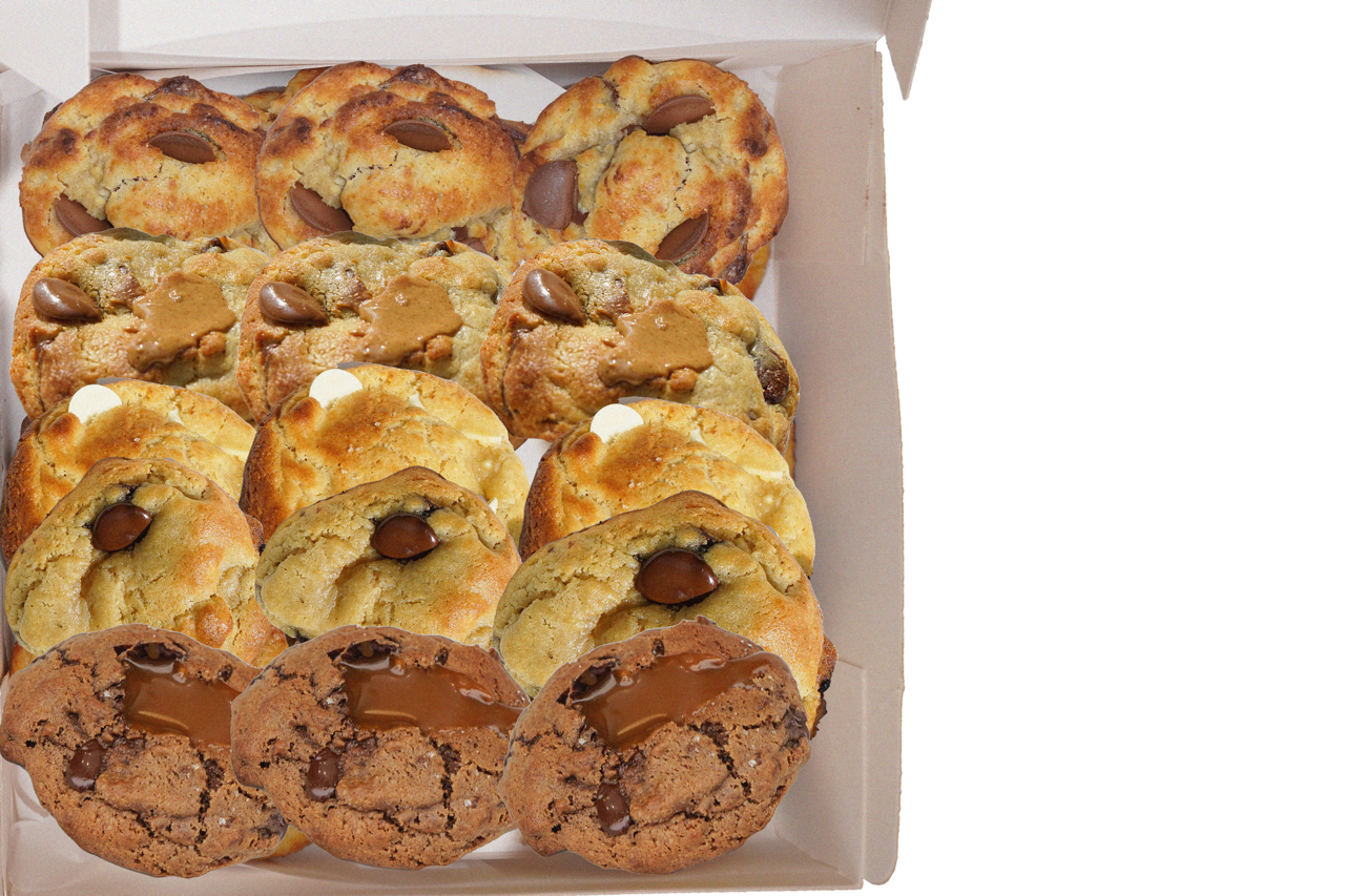 15 MINIS 2 Large.png