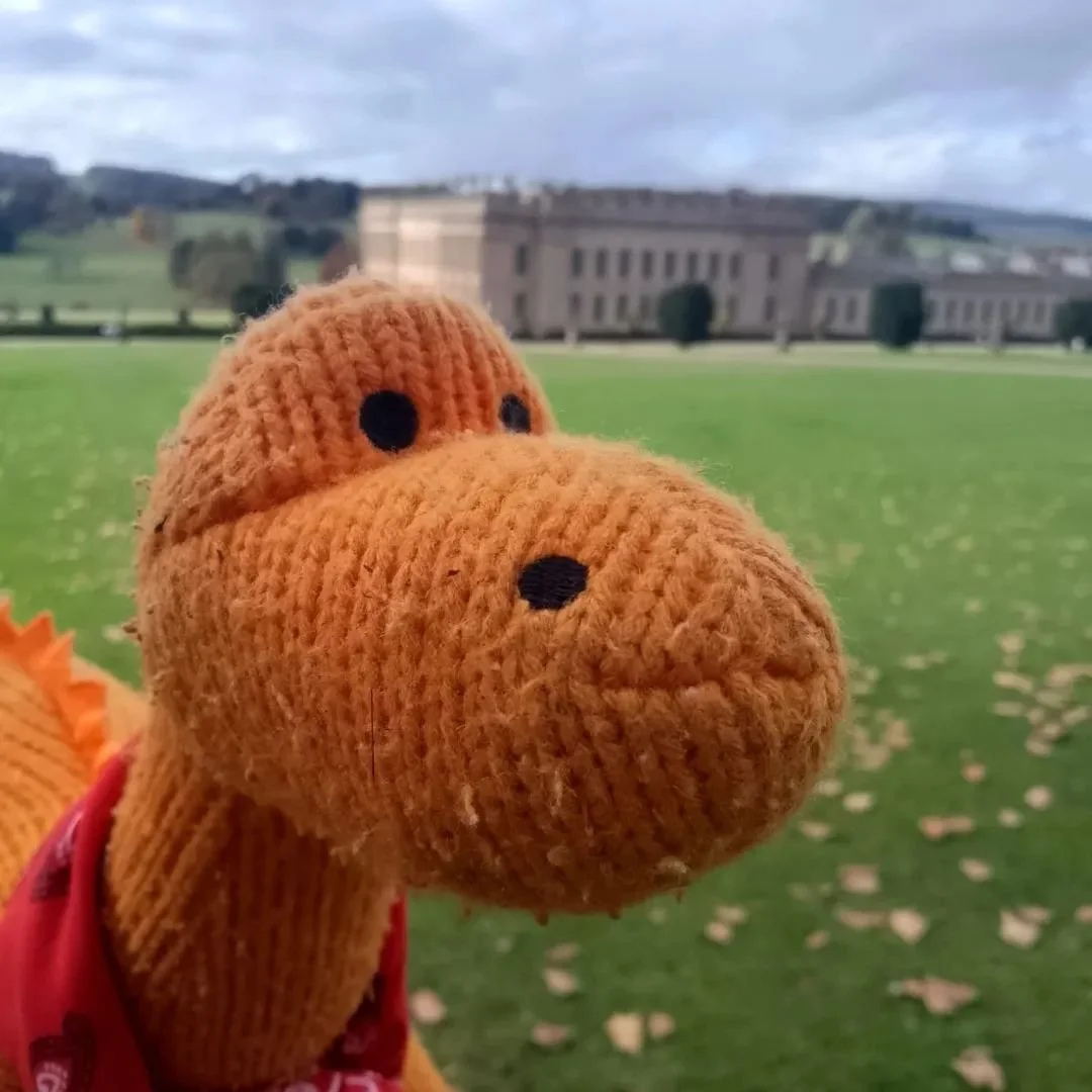 This is Maggie. Last academic year, her incredible owner (student of Spring and Pride and Prejudice enthusiast) carried out a work experience placement at @chatsworthofficial She worked hard, had fun and taught their staff about neurodiversity along 