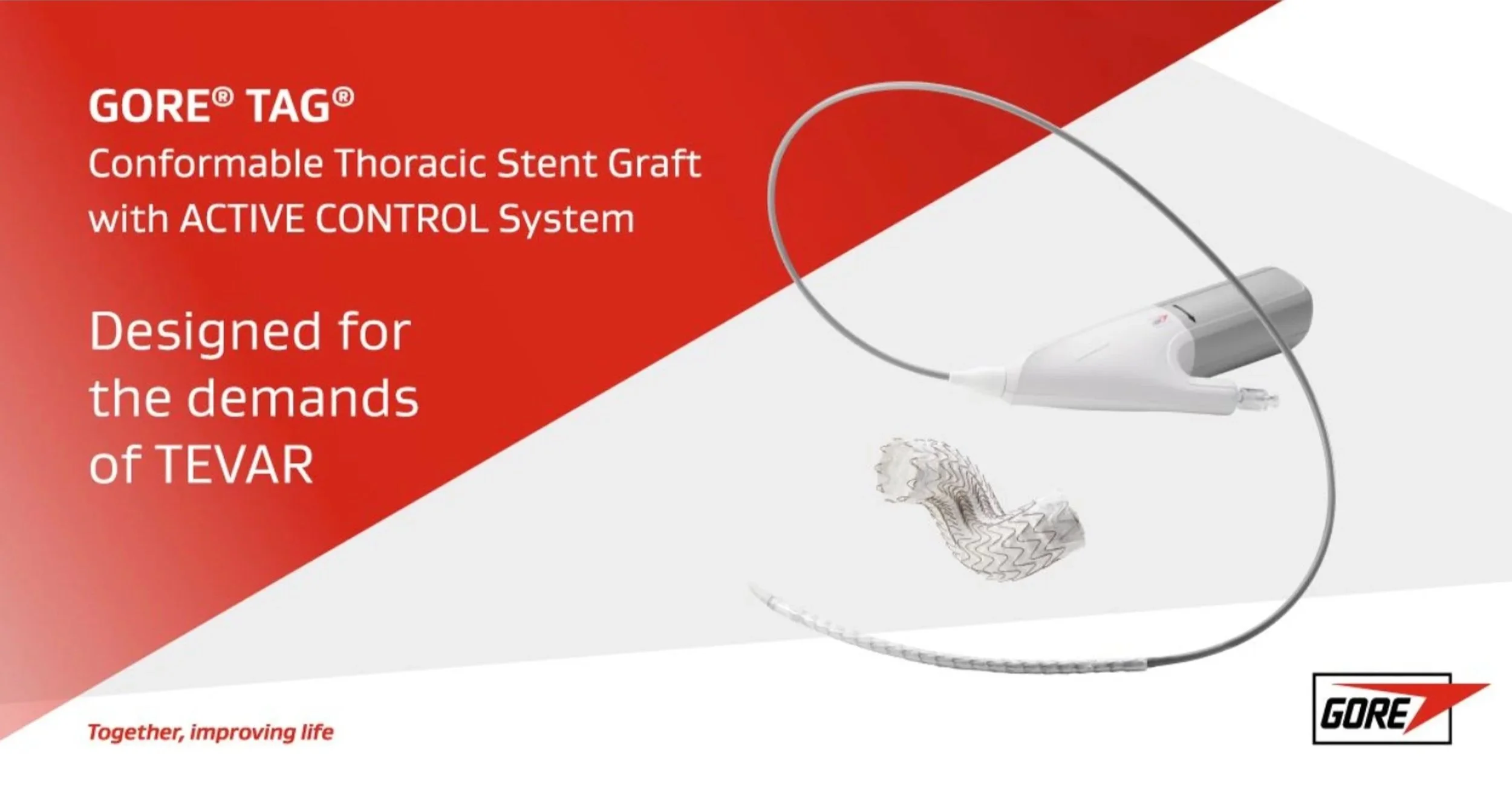 Positioning For Market Leading Thoracic Stent-Graft