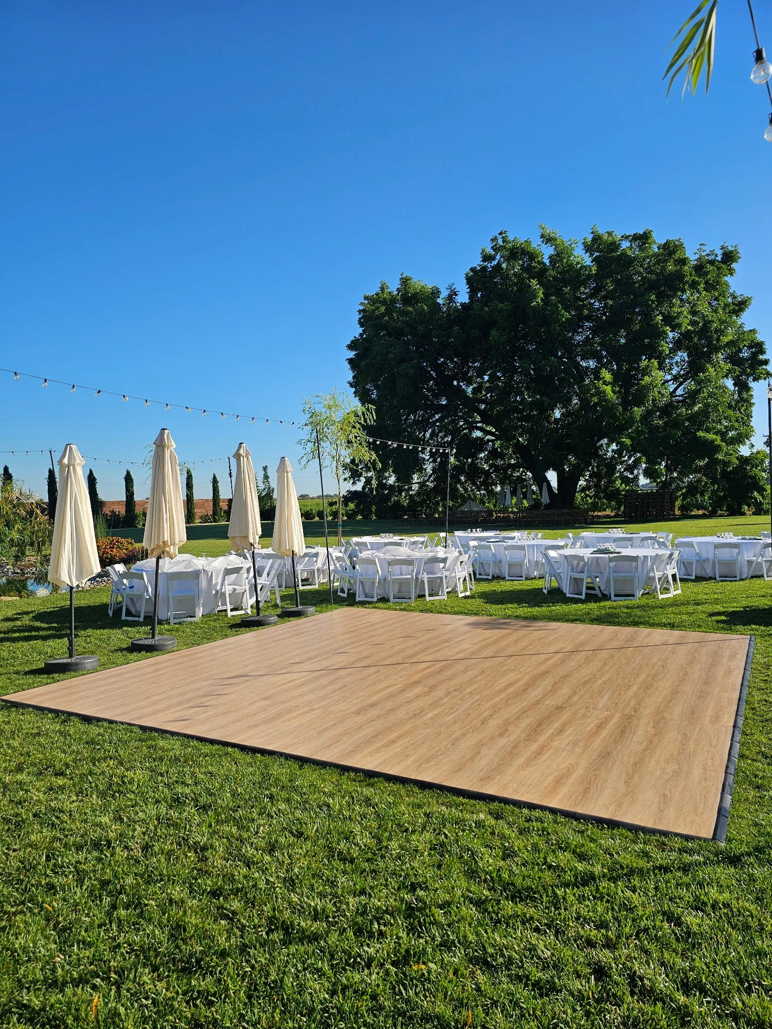 Sandalwood Dance Floor