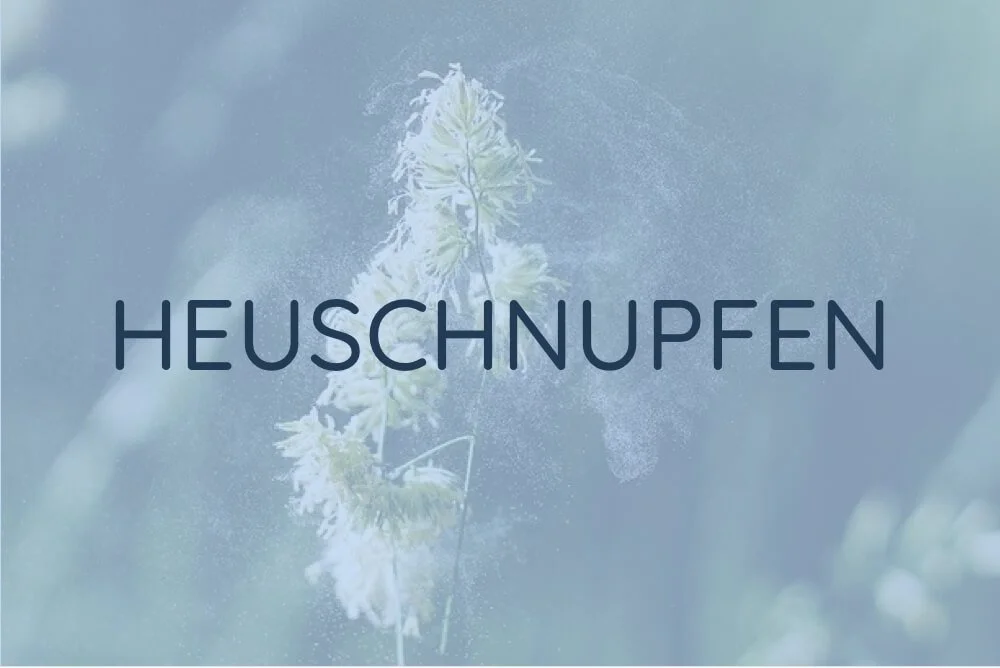heuschnupfen allergie blütenstaub