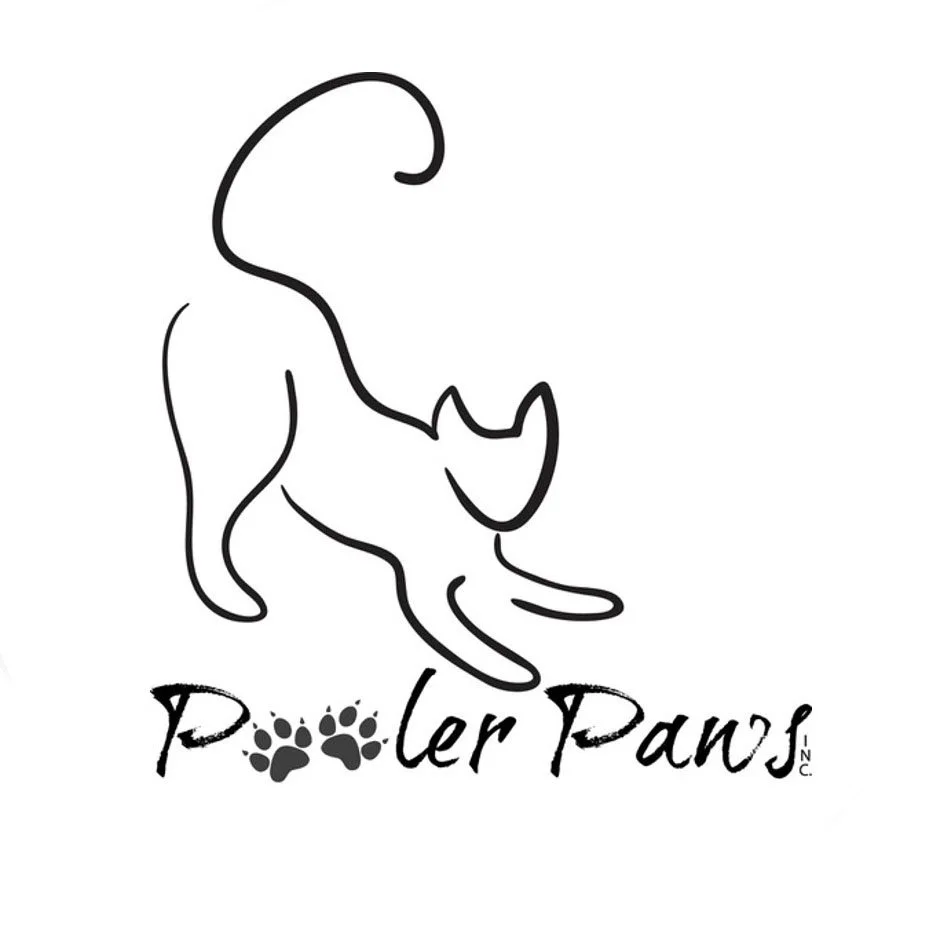 Paranormal Society of Savannah | Pooler Paws