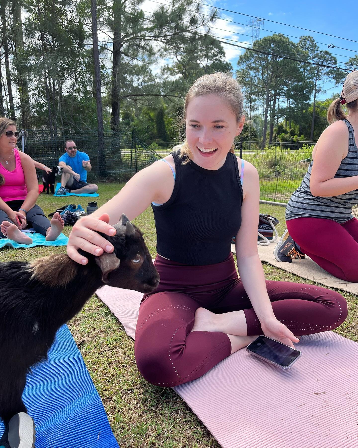 Finally crossed GOAT YOGA off my bucket list ✅ (swipe for goats) 🐐❤️