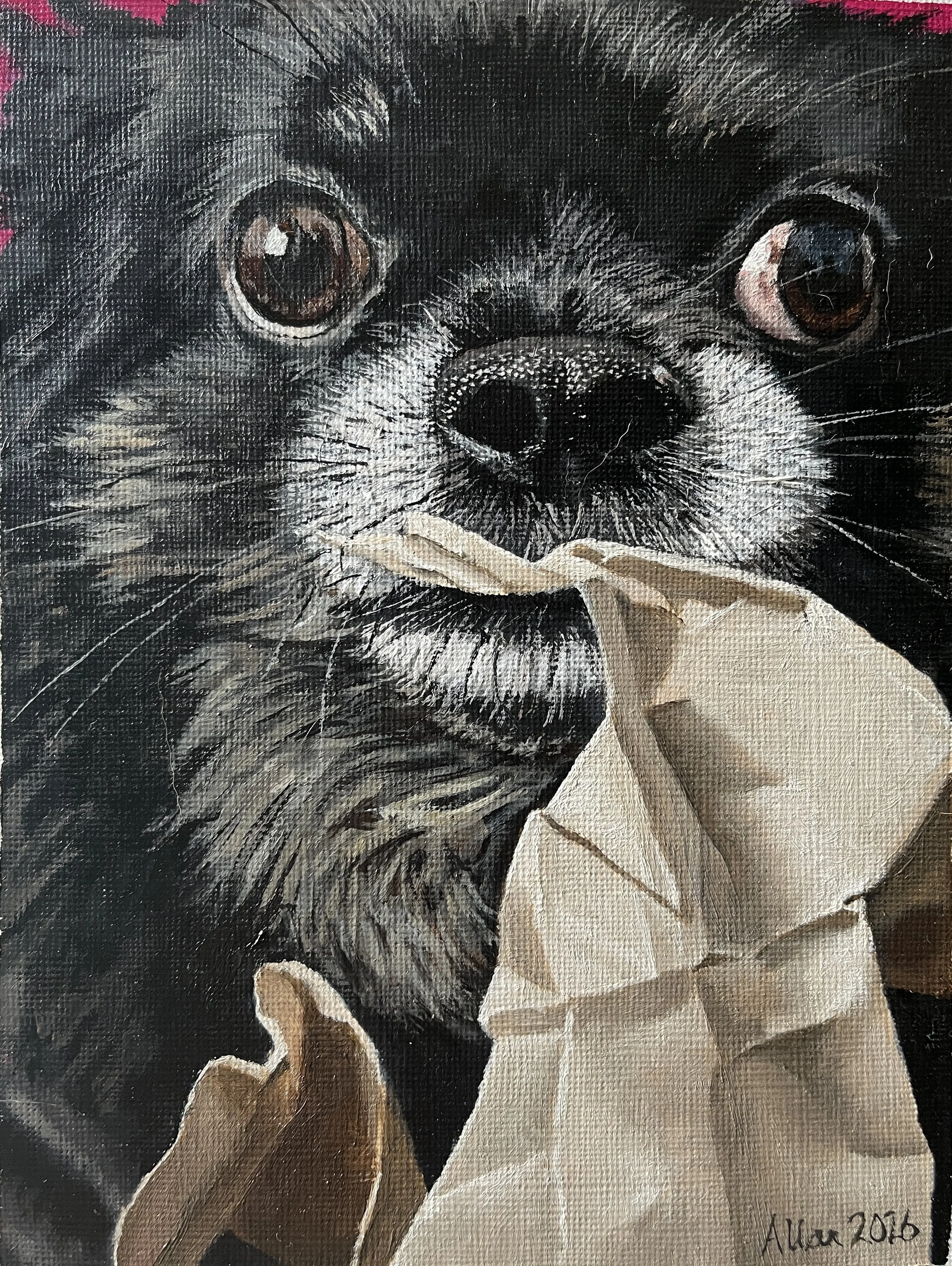 Digby the dog
