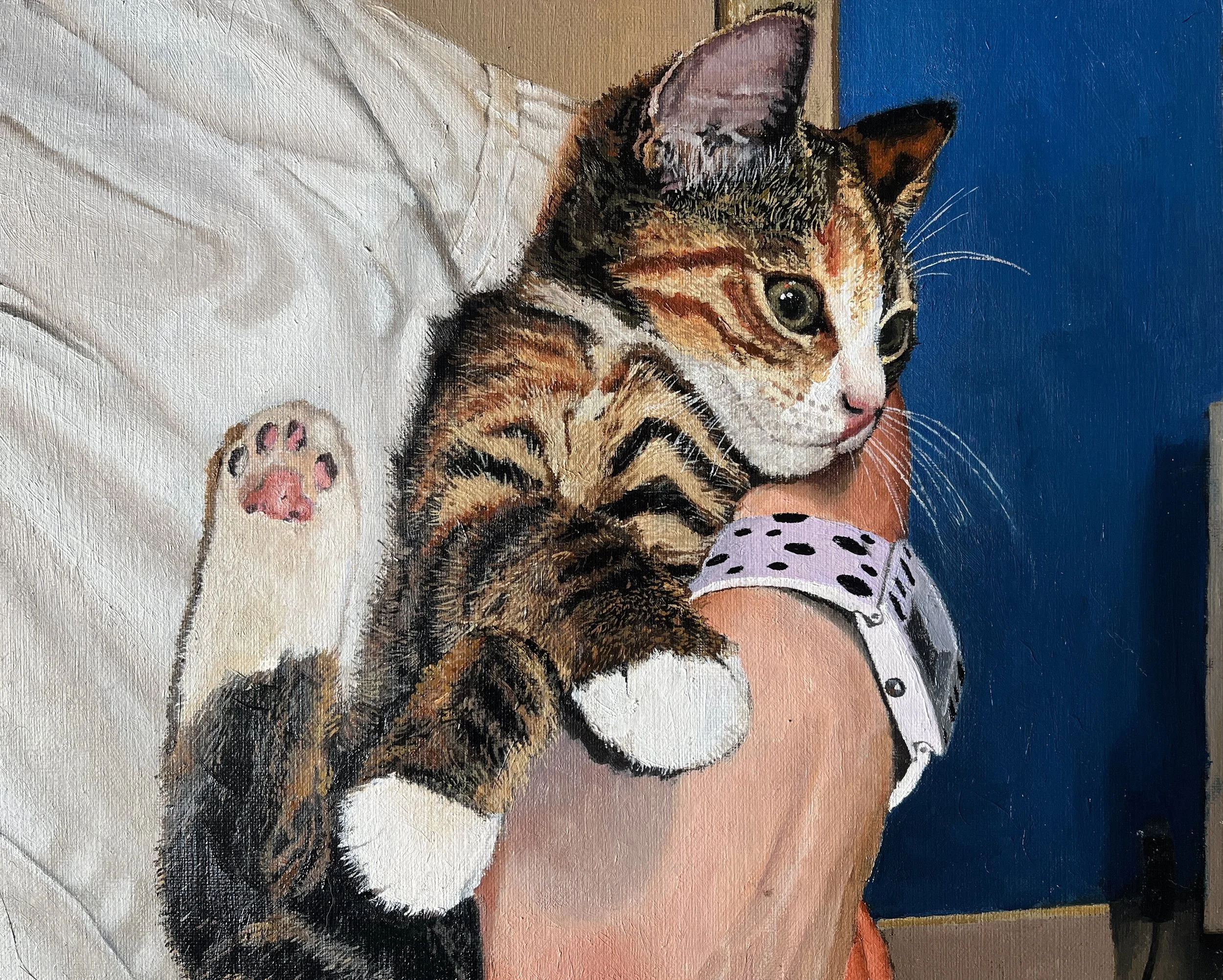 Rosie as a kitten