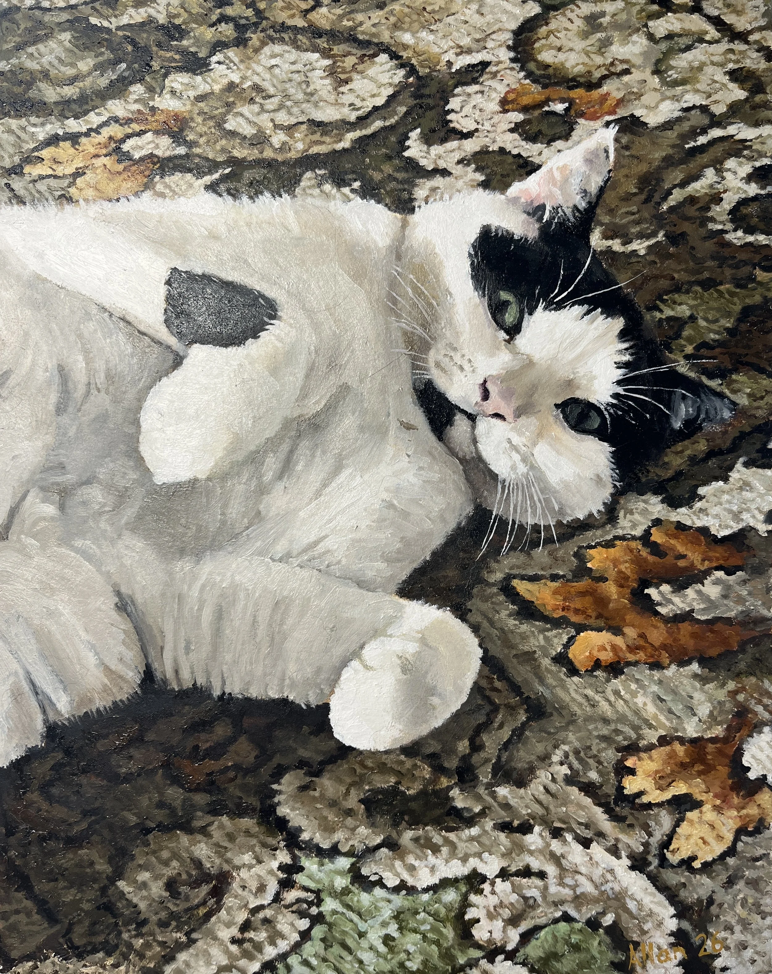 Cairo and the carpet