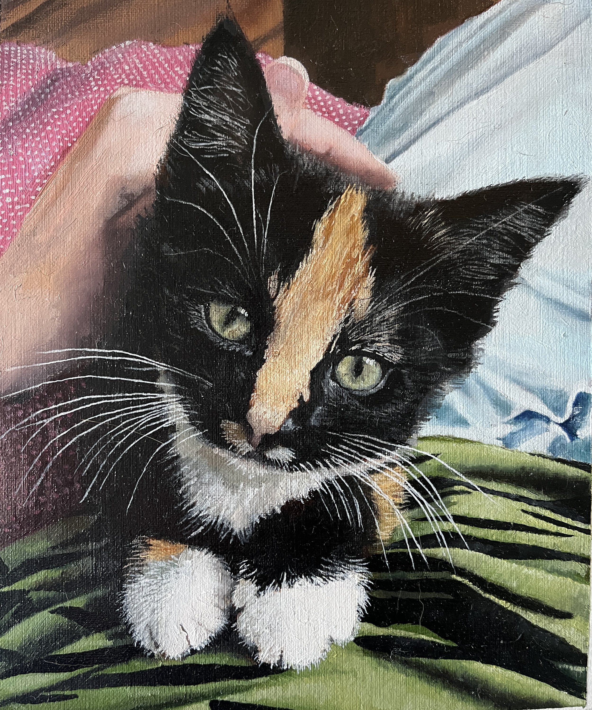 Worf as a kitten