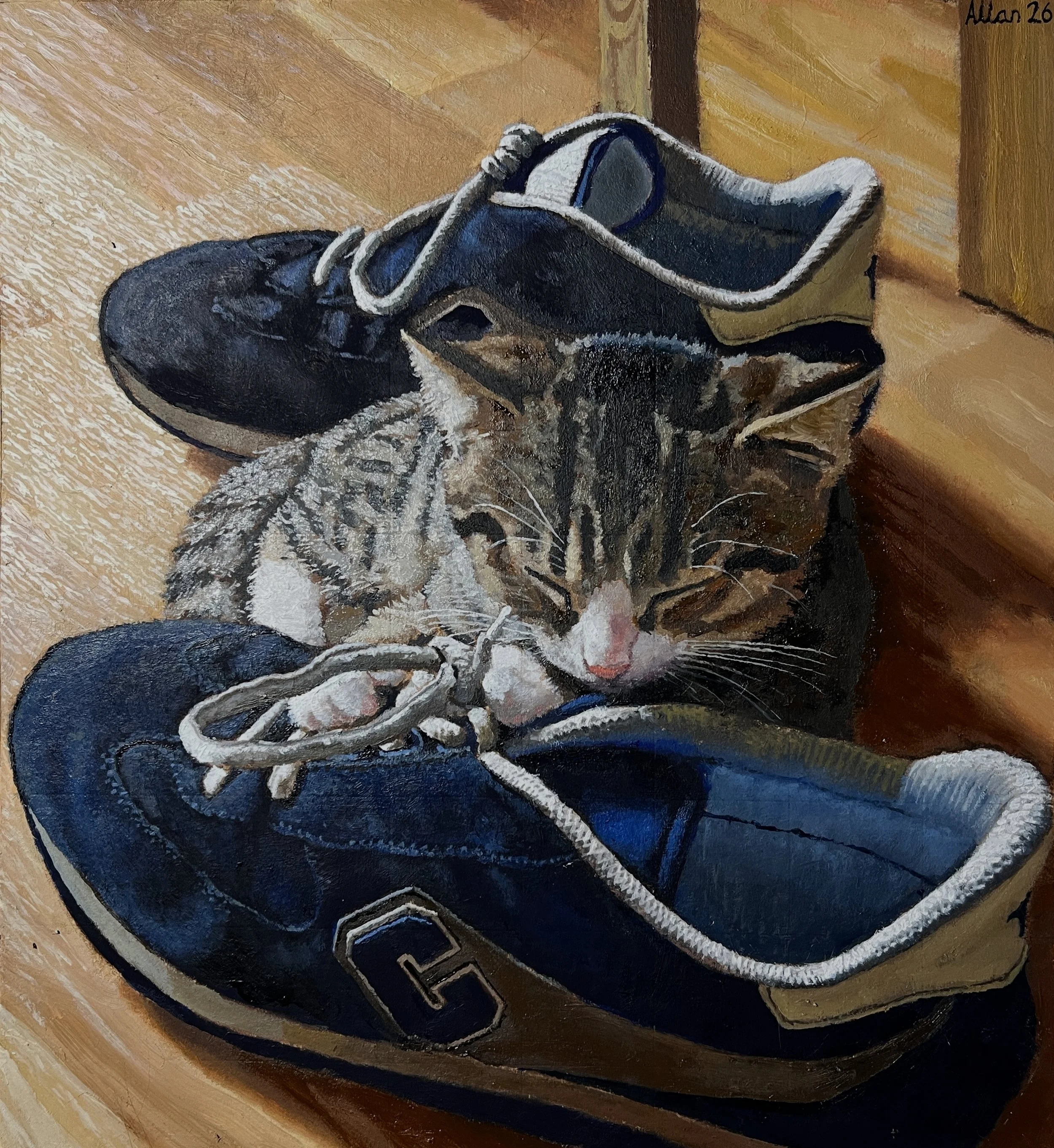 Luca and Joe's shoes