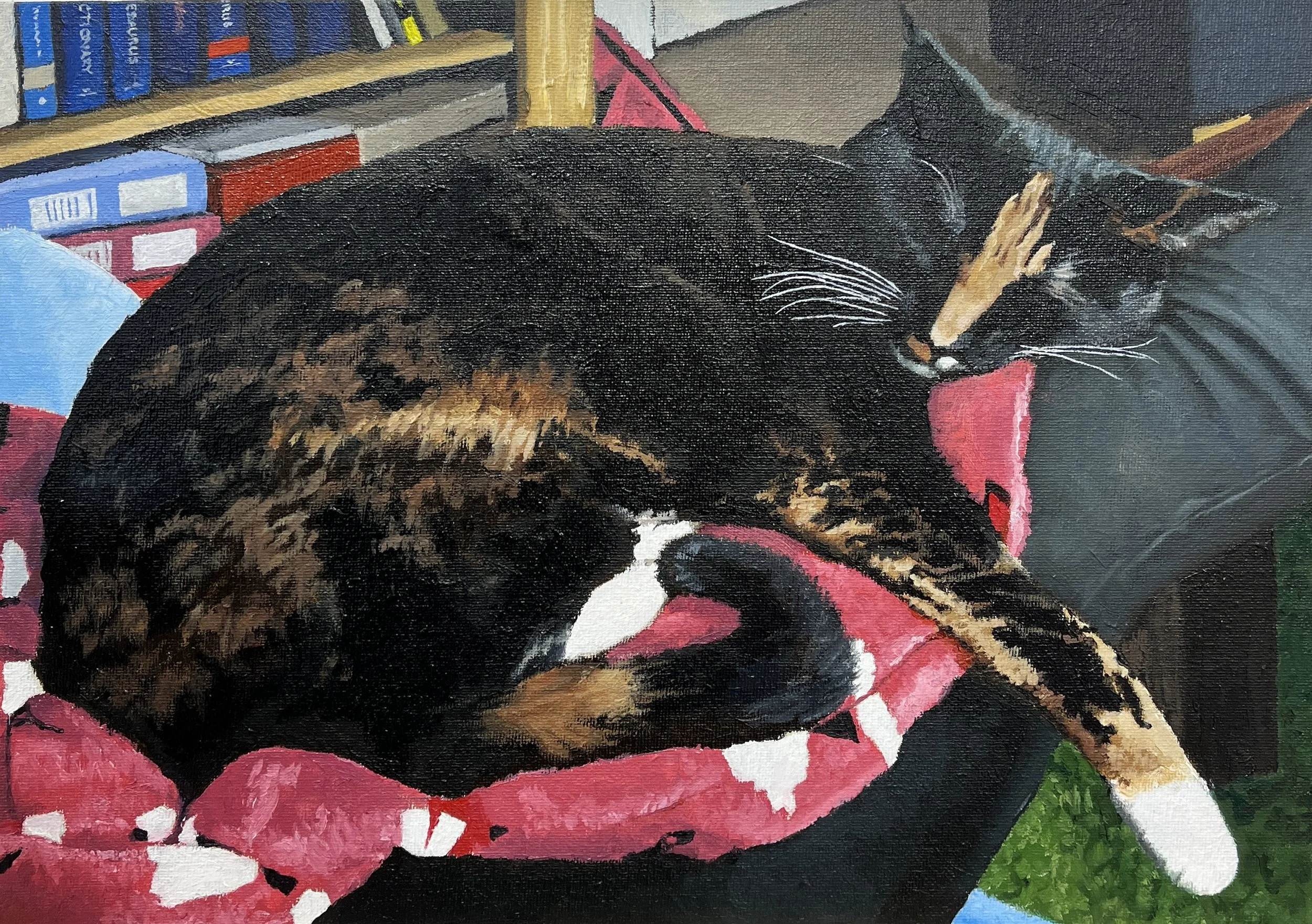Sleeping Beast