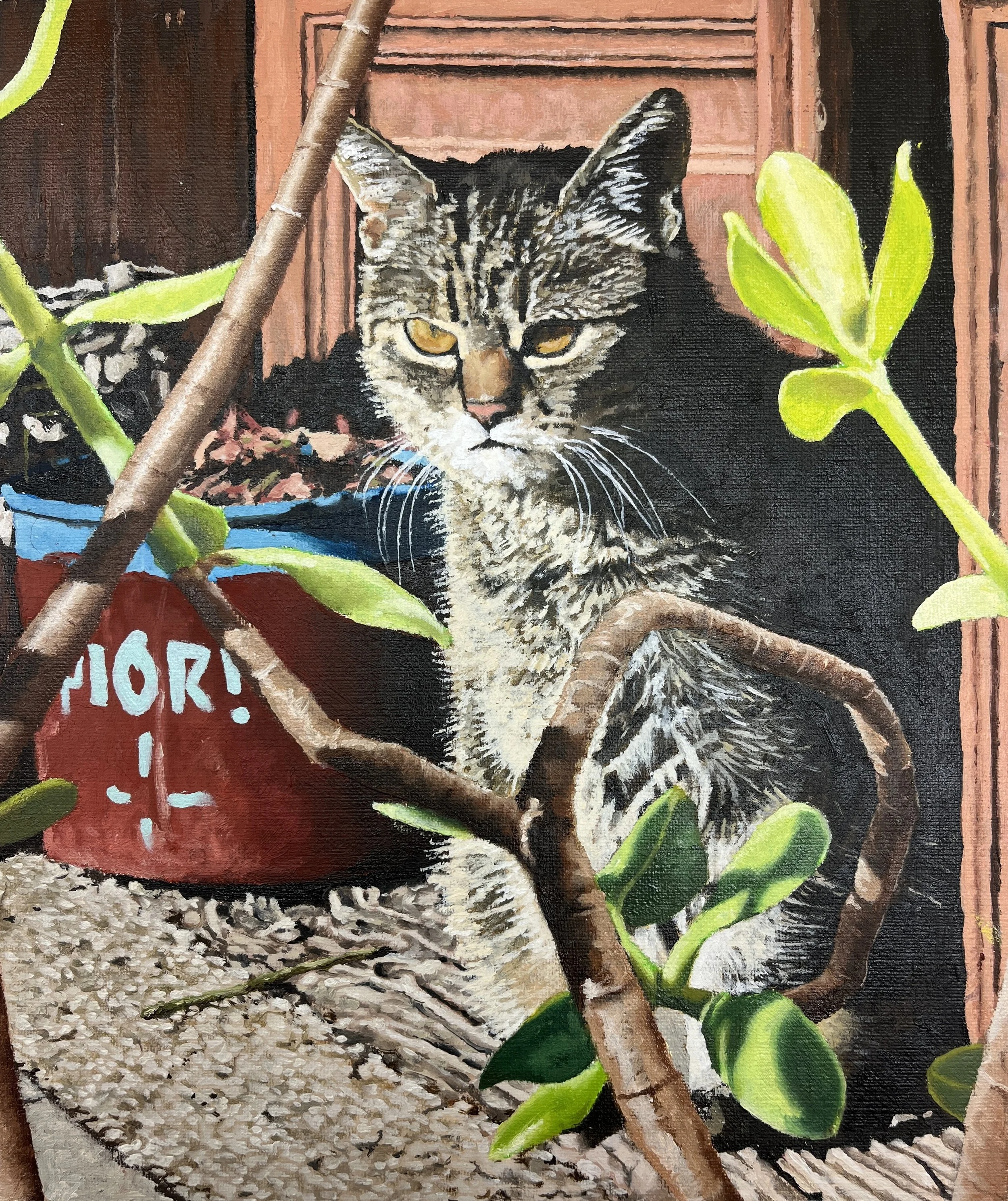 Plant pot cat
