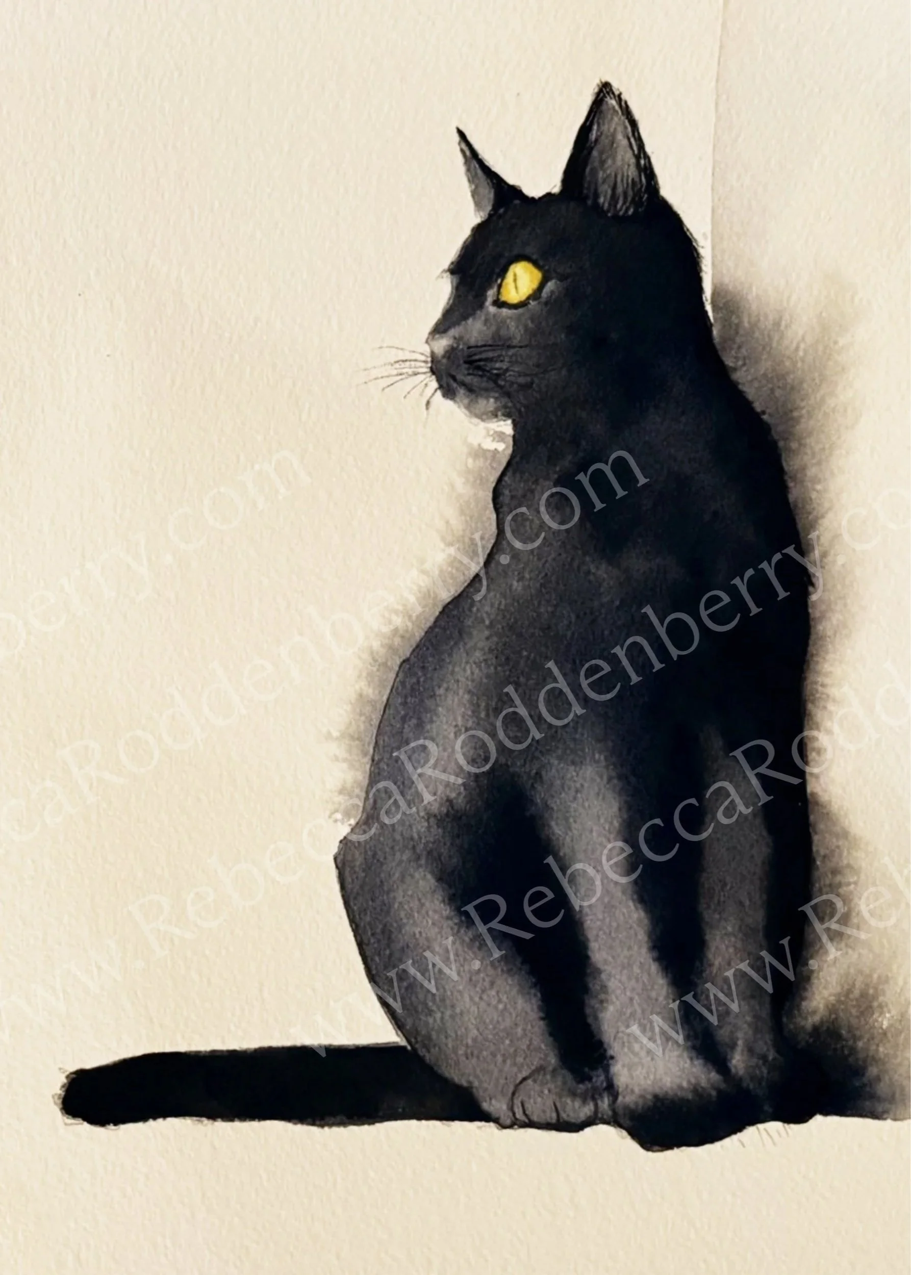Cat Shadows