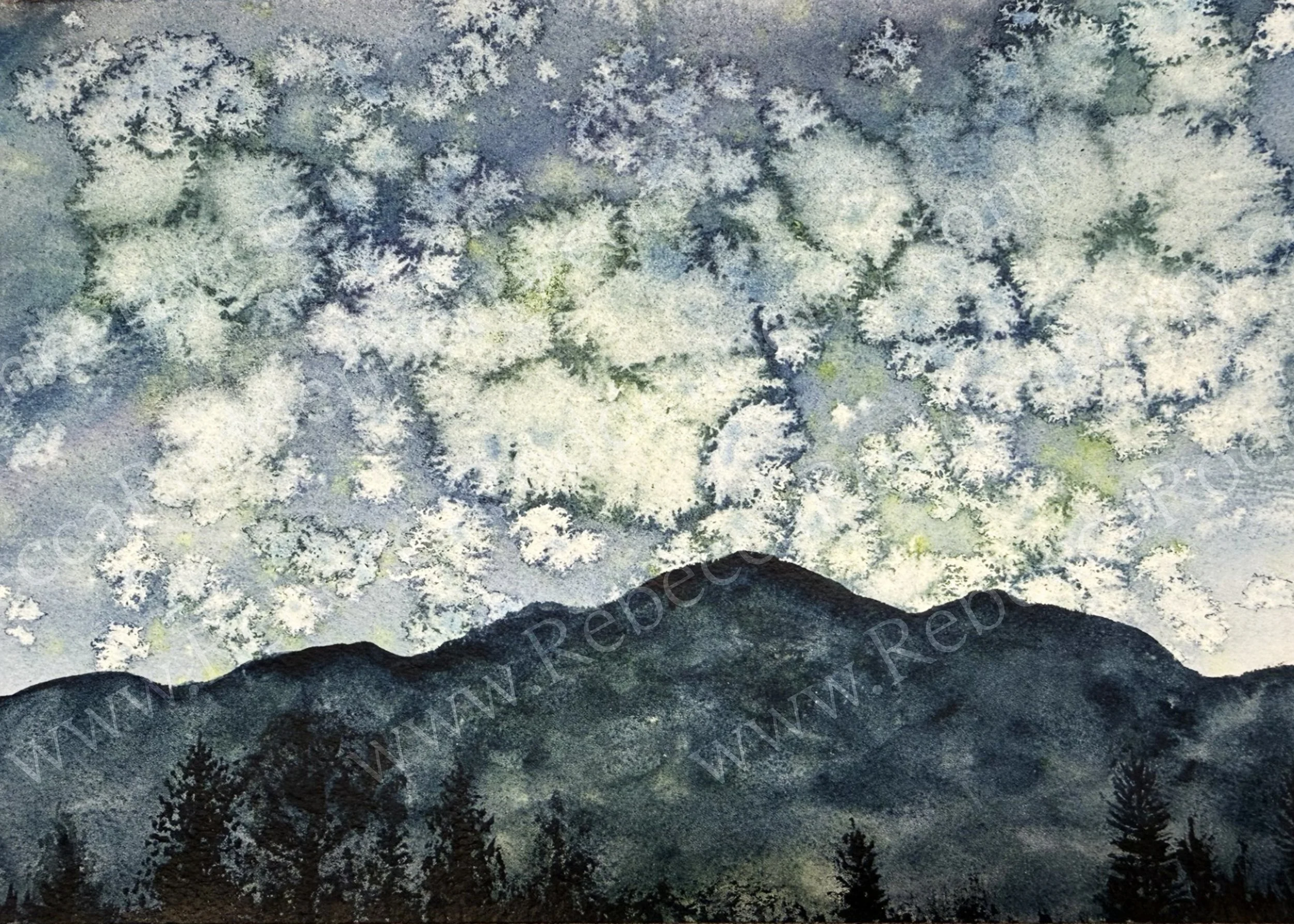 Mountain Stars
