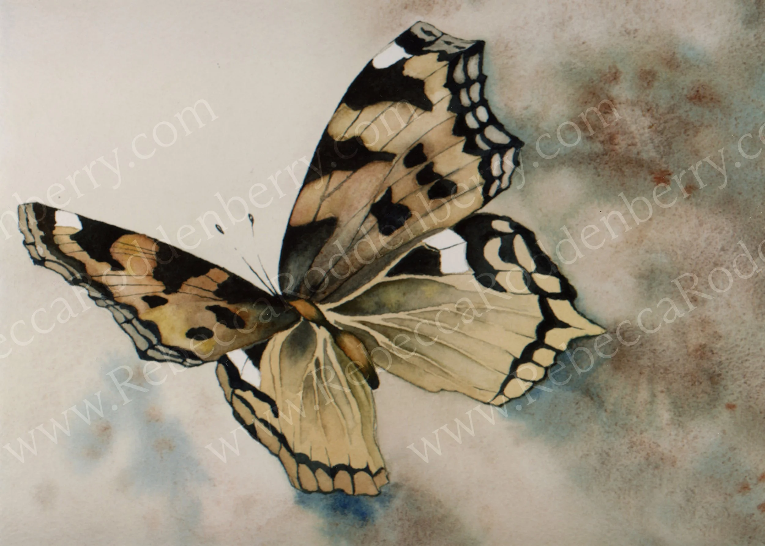 Monarch