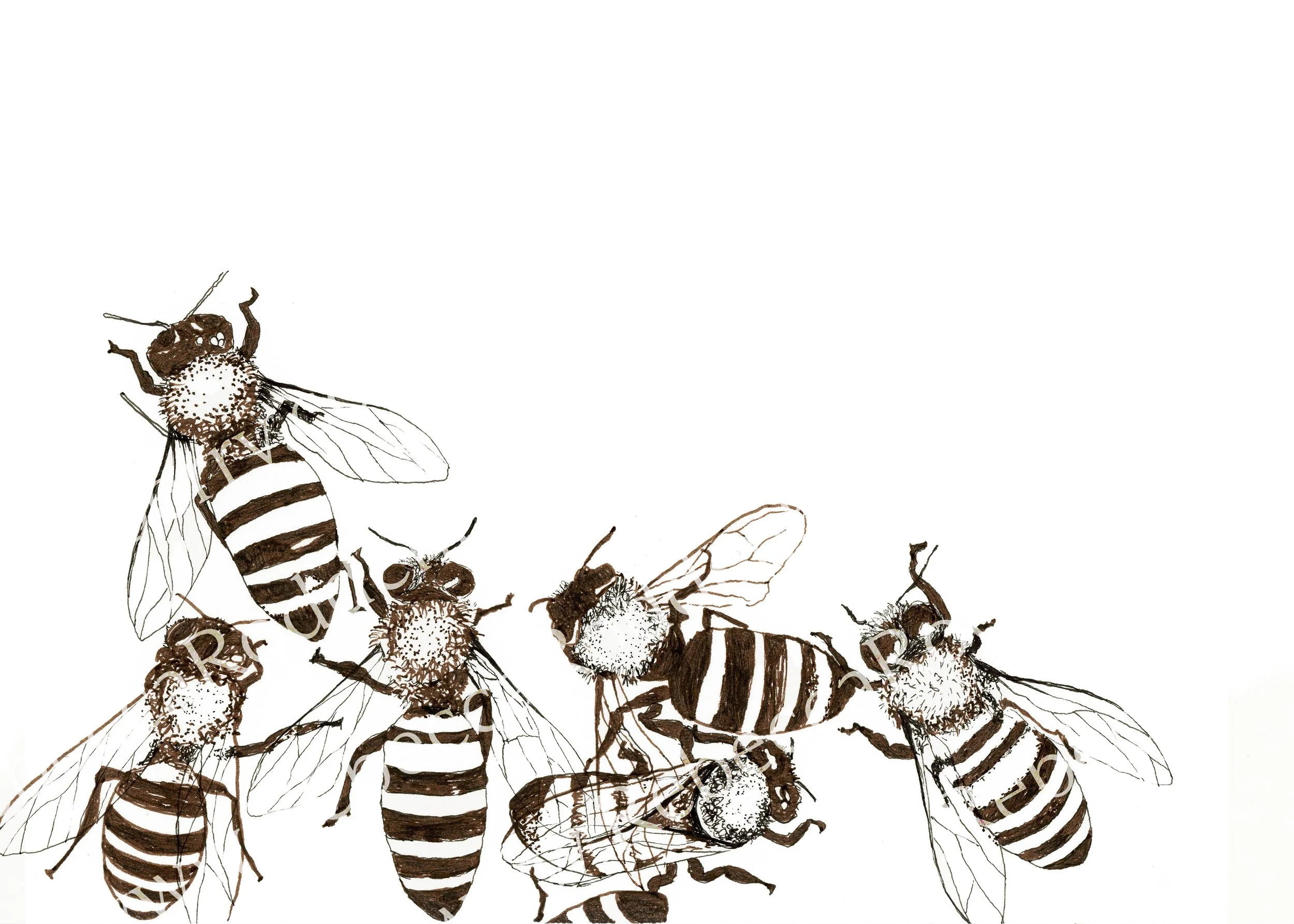 Worker Bees