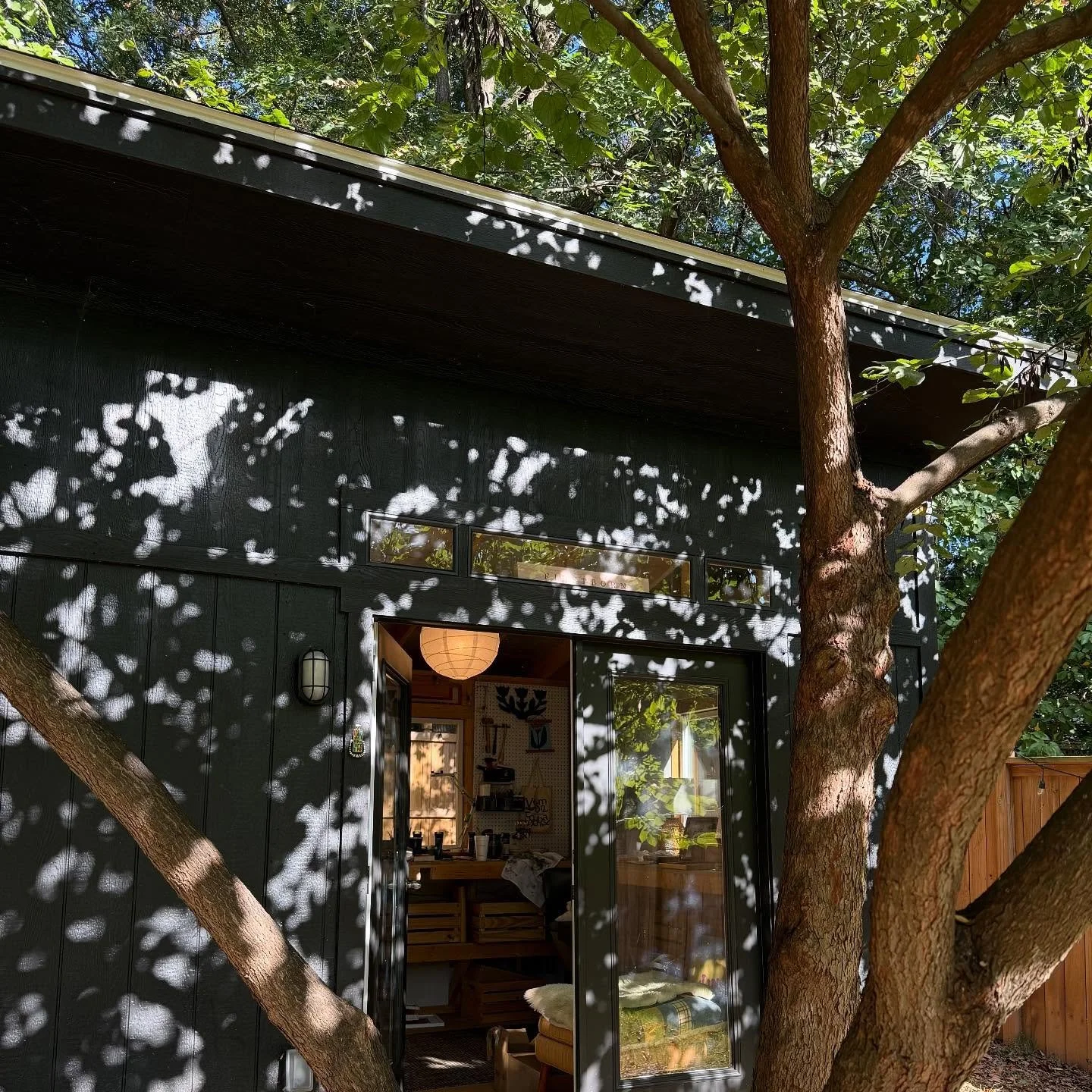 I don&rsquo;t know how to interact with this app anymore but I&rsquo;m still here! 🍂