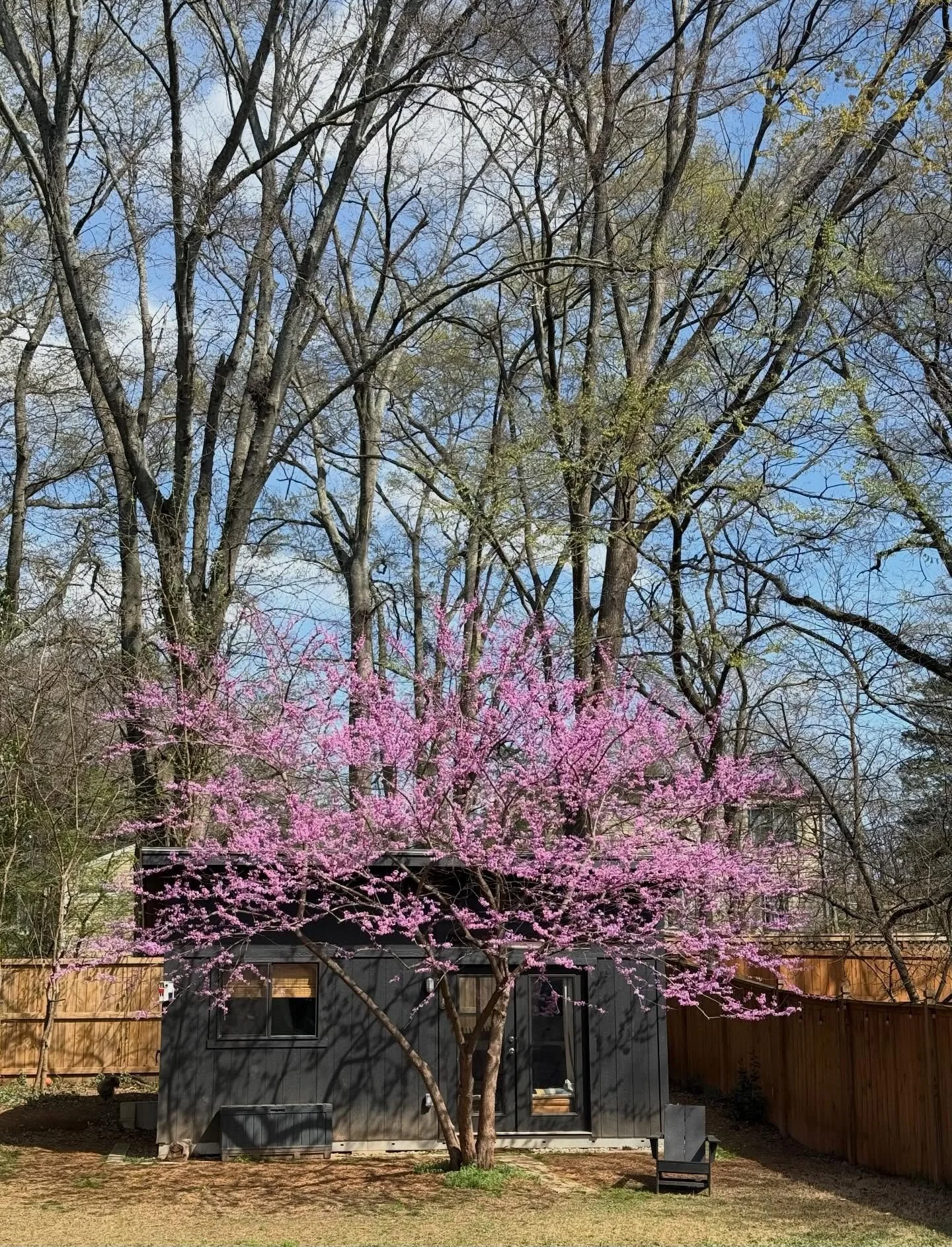 The stu in the spring 🌺💕🌸