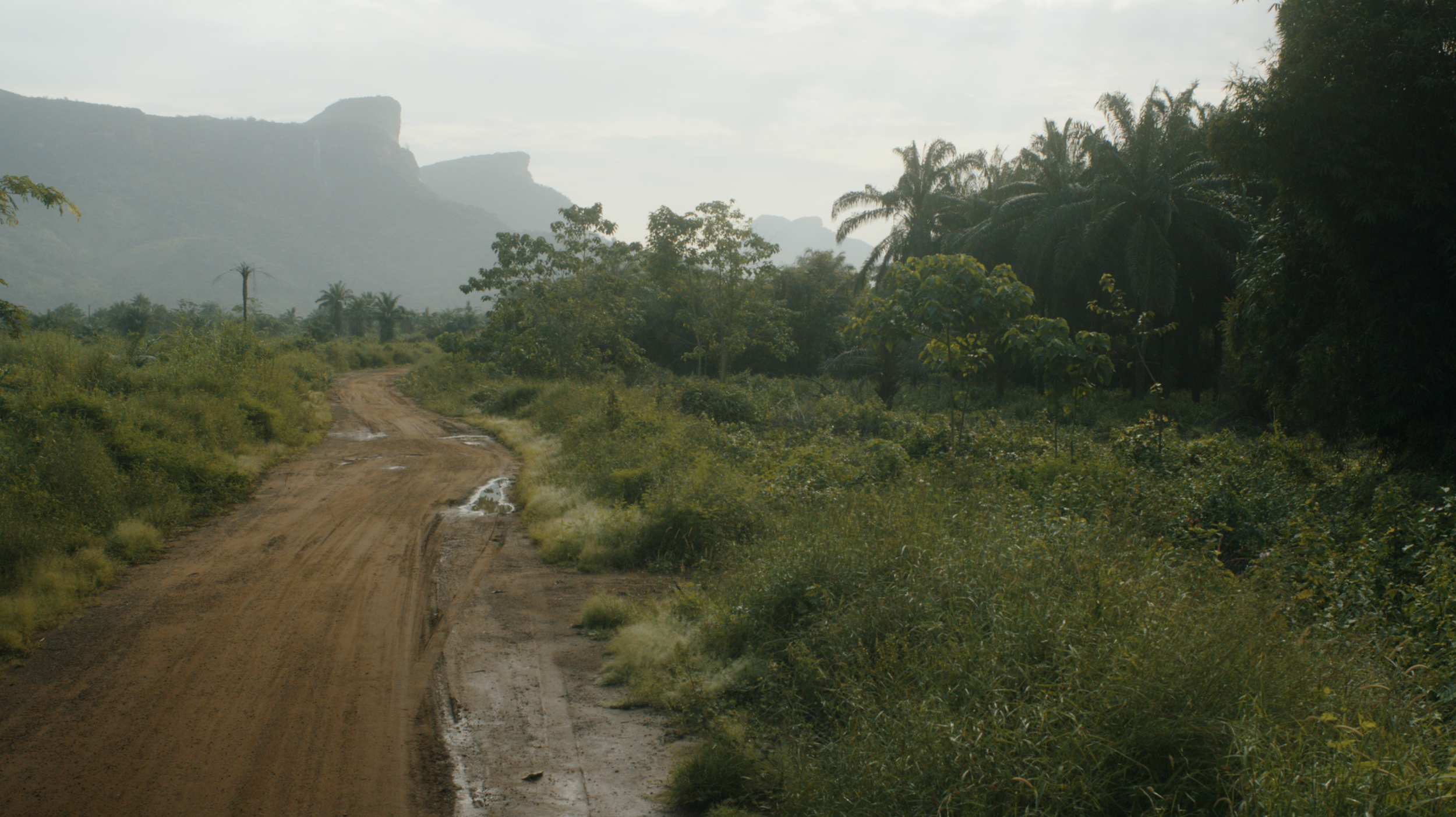 Screenshot 2023-11-27 at 9.18.10 AM.png